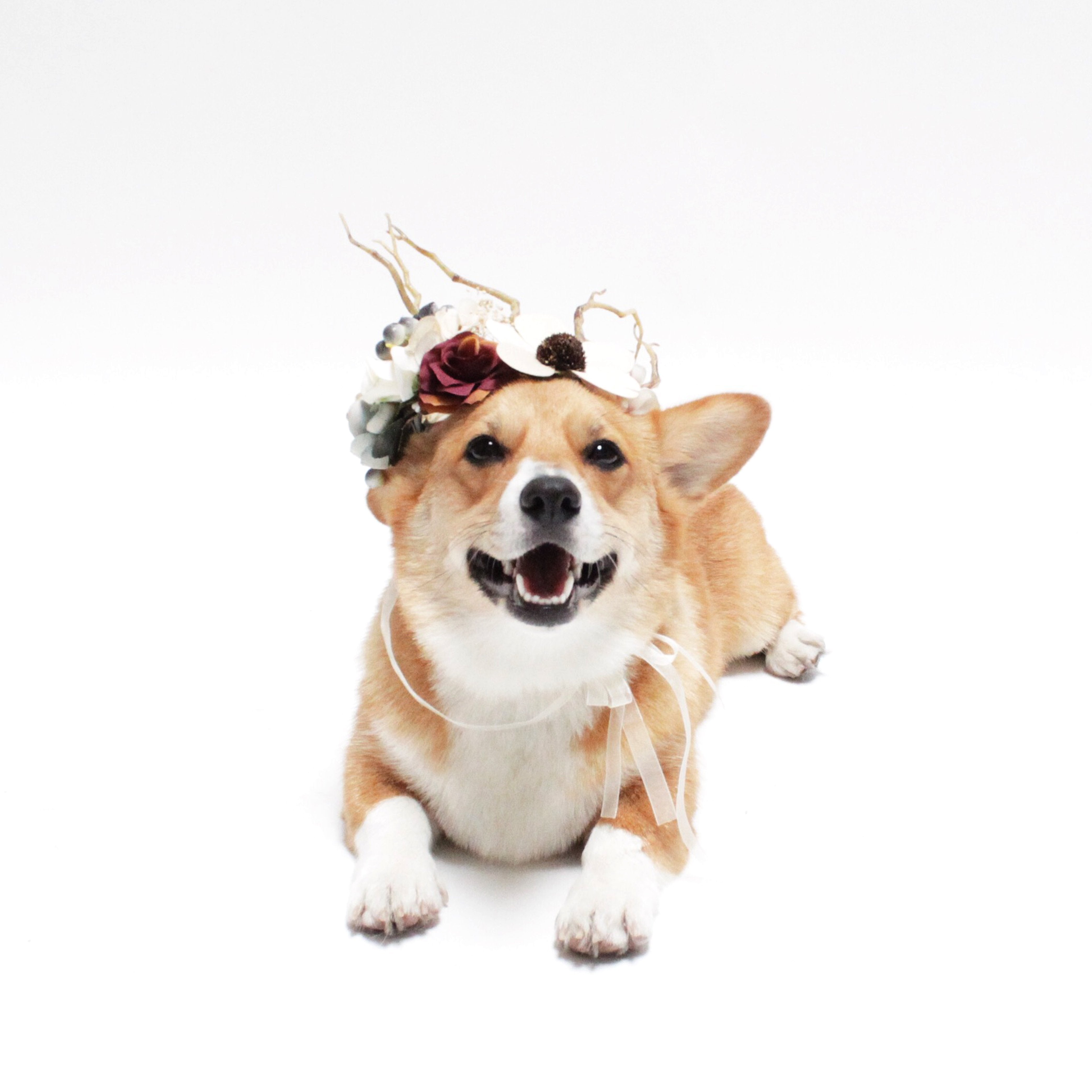 Dog and People Flower Crown Headbands | Hound and Friends