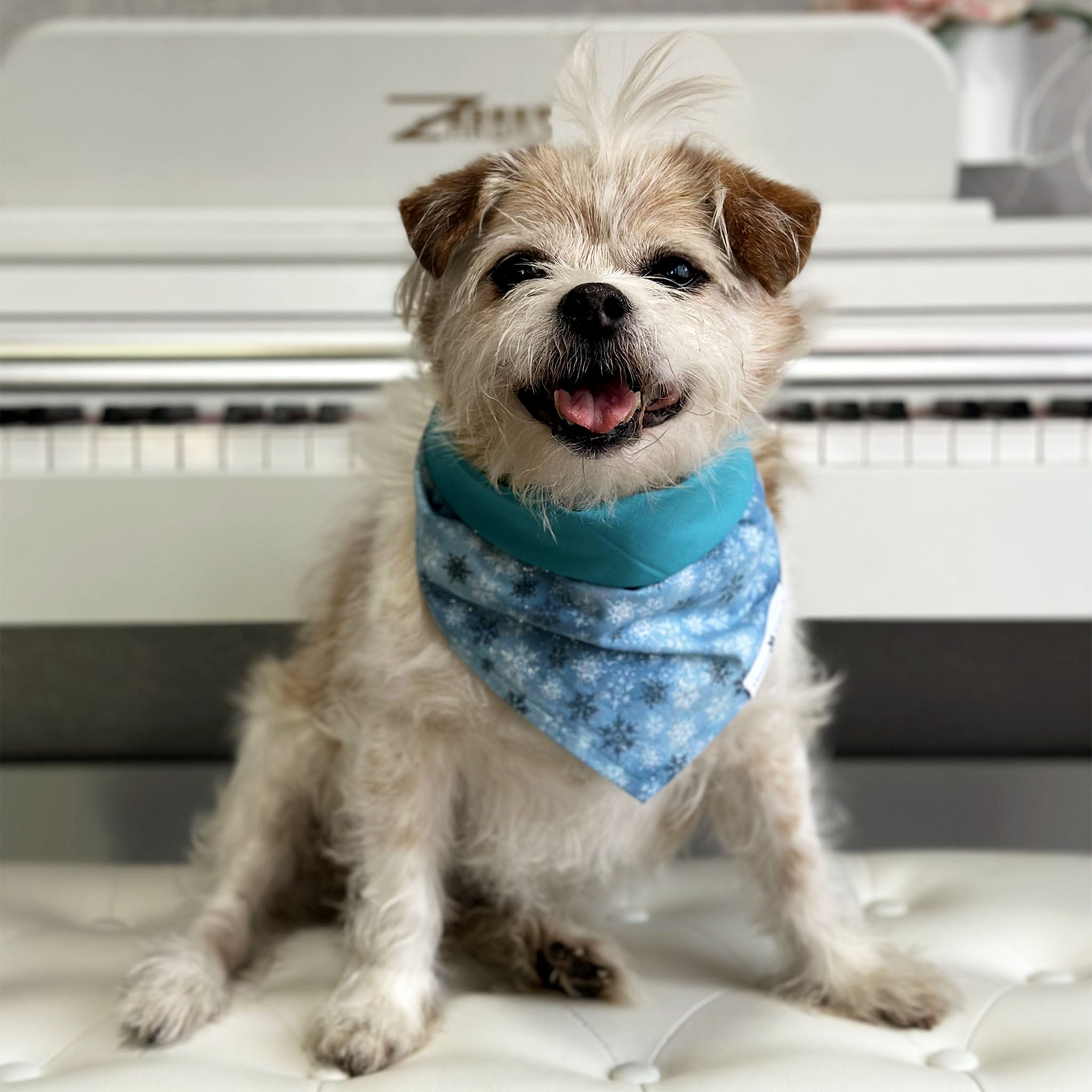 Handmade dog bandana matching with their owners. Hound and Friends. Cute and fun pet accessories. Christmas Glitter Sparkle Snowflakes Holidays reversible bandana. Blue Bandanas.