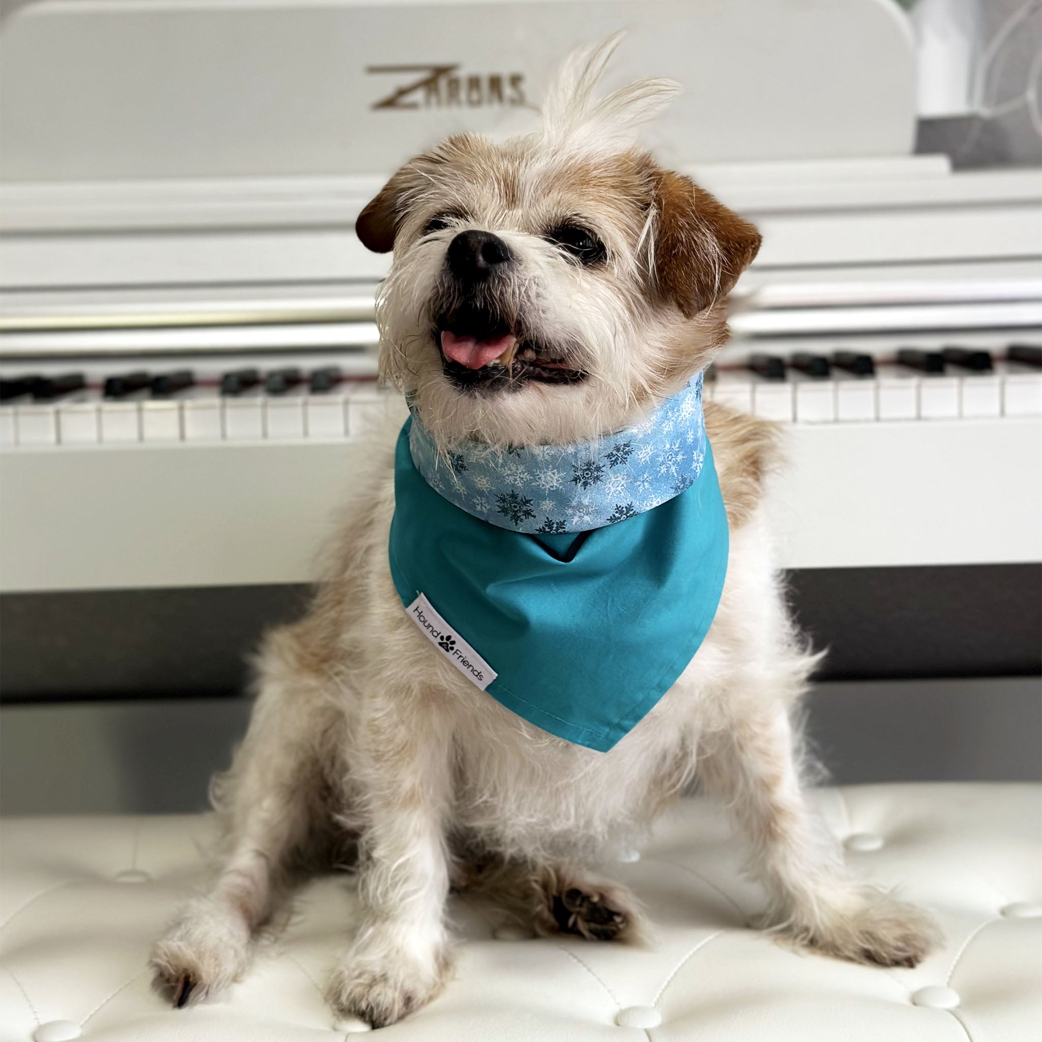 Handmade dog bandana matching with their owners. Hound and Friends. Cute and fun pet accessories. Christmas Glitter Sparkle Snowflakes Holidays reversible bandana. Blue Bandanas.