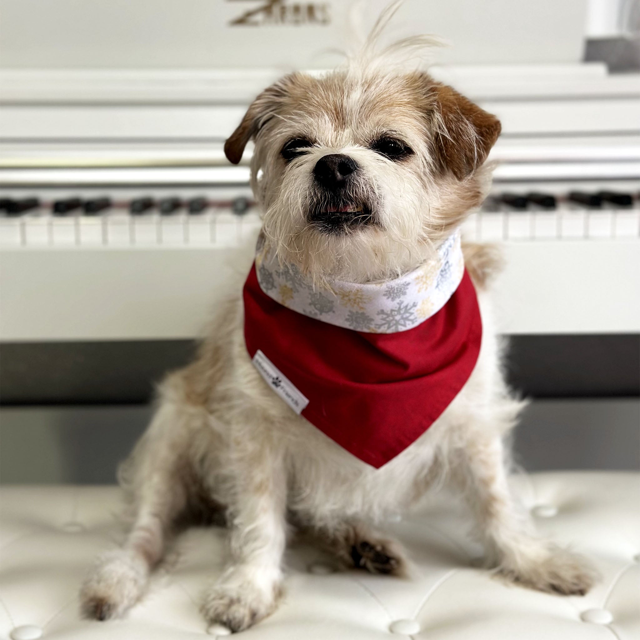 Handmade dog bandana matching with their owners. Hound and Friends. Cute and fun pet accessories. Christmas Gold Snowflakes Holidays reversible bandana. Red gold silver white Bandanas.