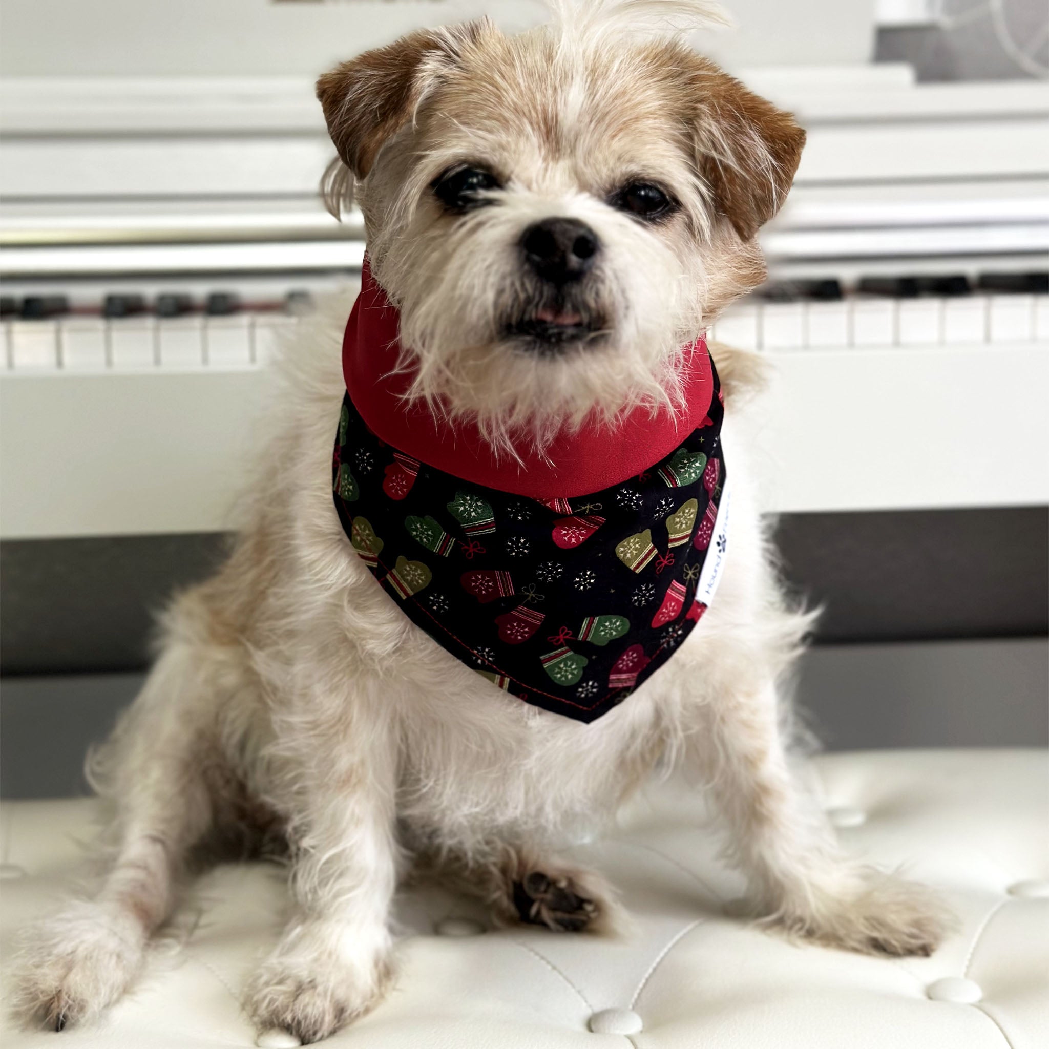 Handmade dog bandana matching with their owners. Hound and Friends. Cute and fun pet accessories. Christmas Mittens Holidays reversible bandana. Red green black Bandanas.