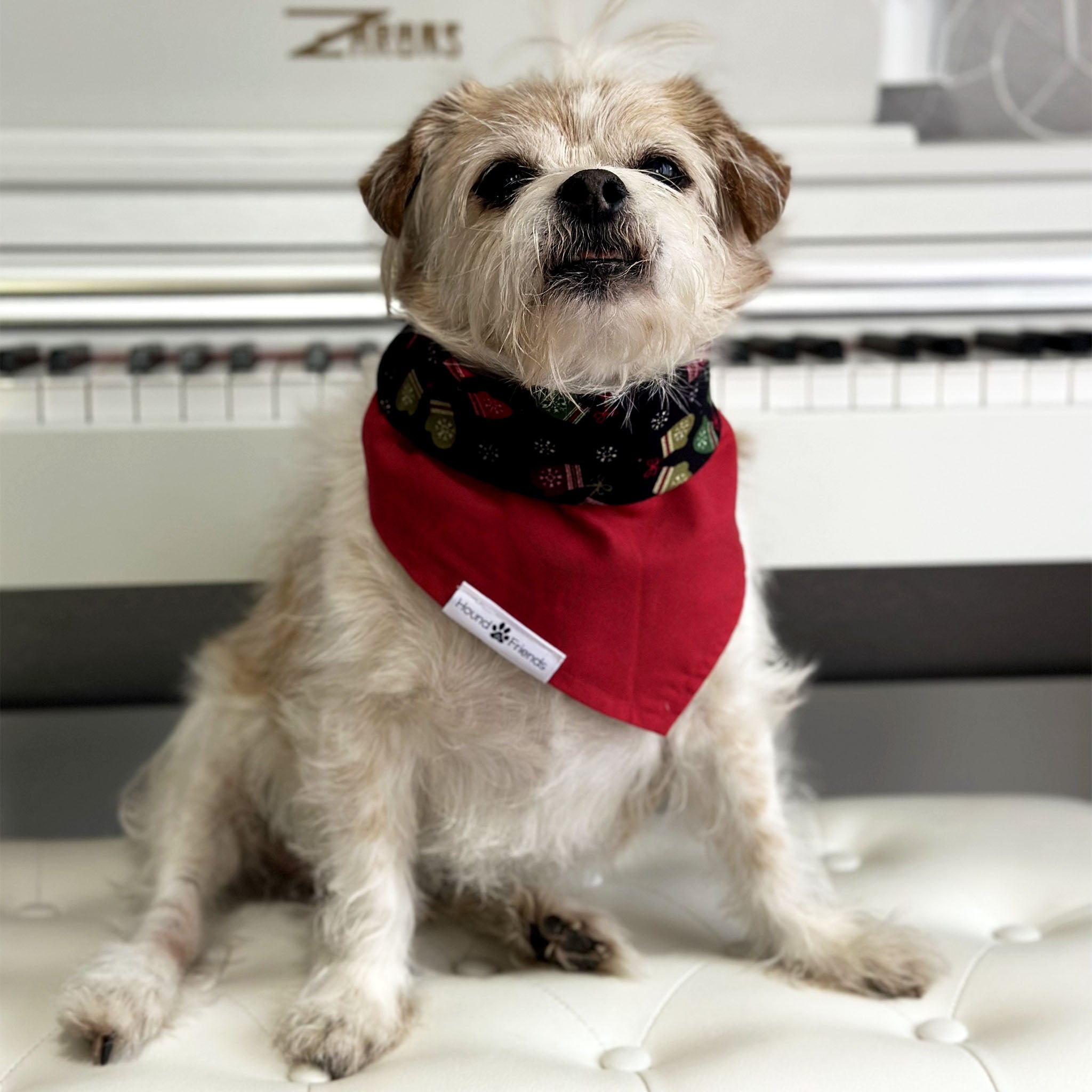 Handmade dog bandana matching with their owners. Hound and Friends. Cute and fun pet accessories. Christmas Mittens Holidays reversible bandana. Red green black Bandanas.