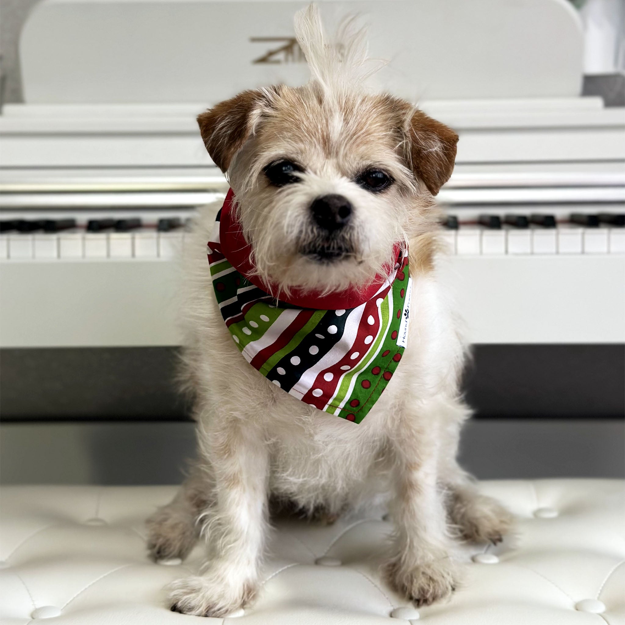 Handmade dog bandana matching with their owners. Hound and Friends. Cute and fun pet accessories. Christmas Present Holidays reversible bandana. Red green white Bandanas.