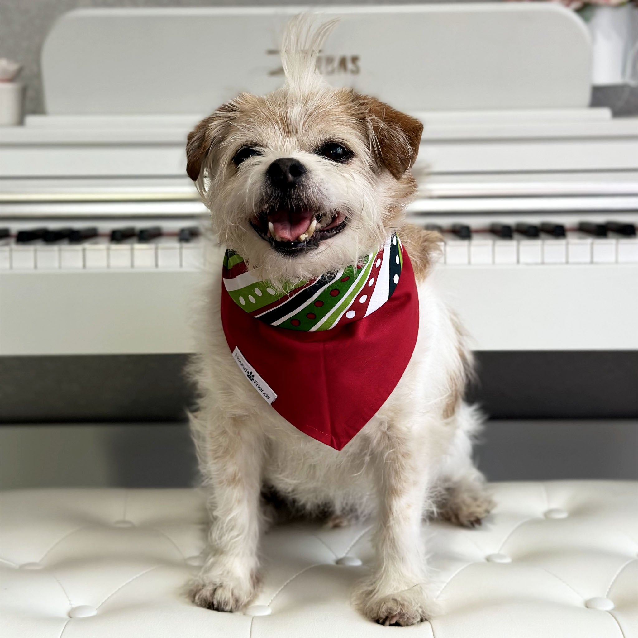 Handmade dog bandana matching with their owners. Hound and Friends. Cute and fun pet accessories. Christmas Present Holidays reversible bandana. Red green white Bandanas.