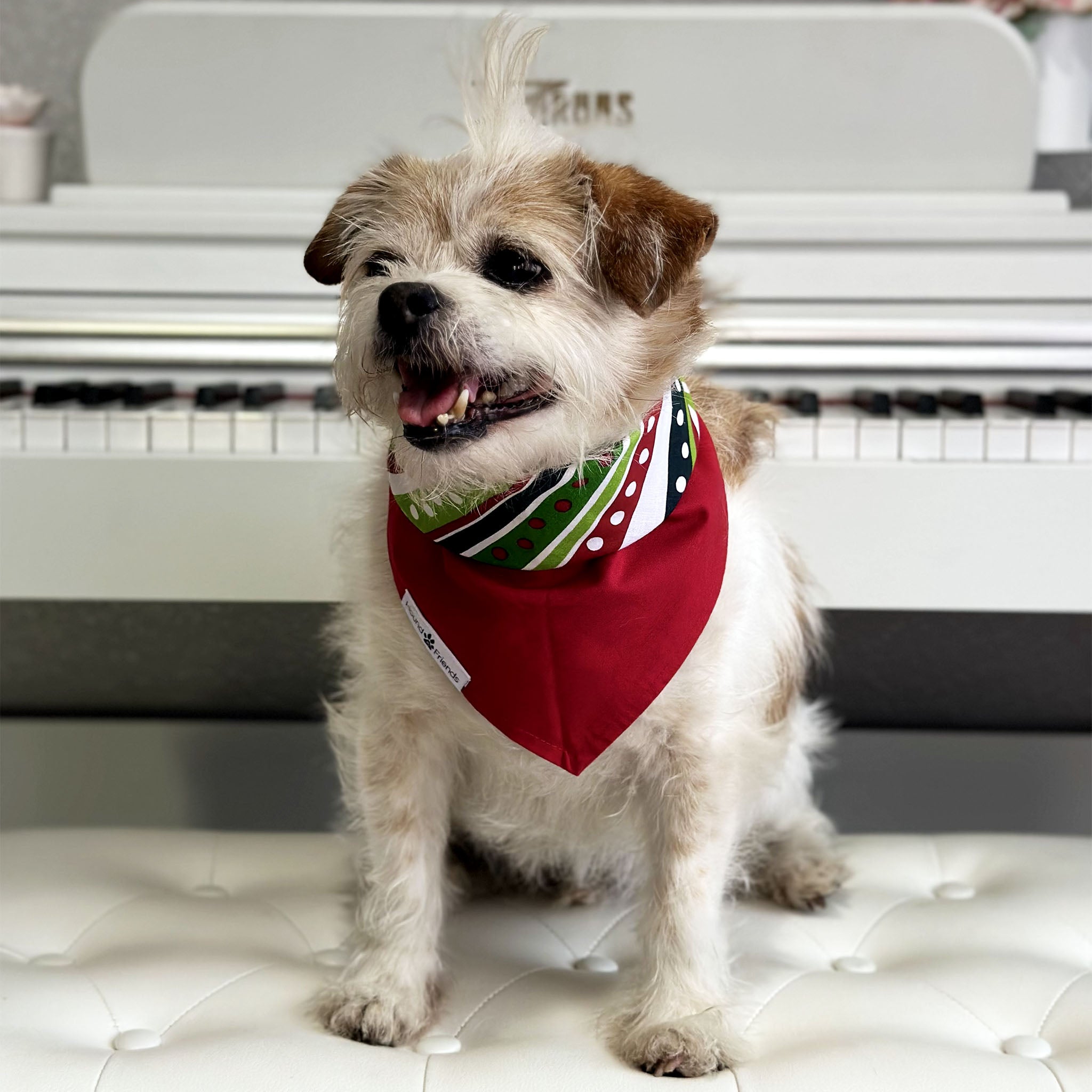 Handmade dog bandana matching with their owners. Hound and Friends. Cute and fun pet accessories. Christmas Present Holidays reversible bandana. Red green white Bandanas.