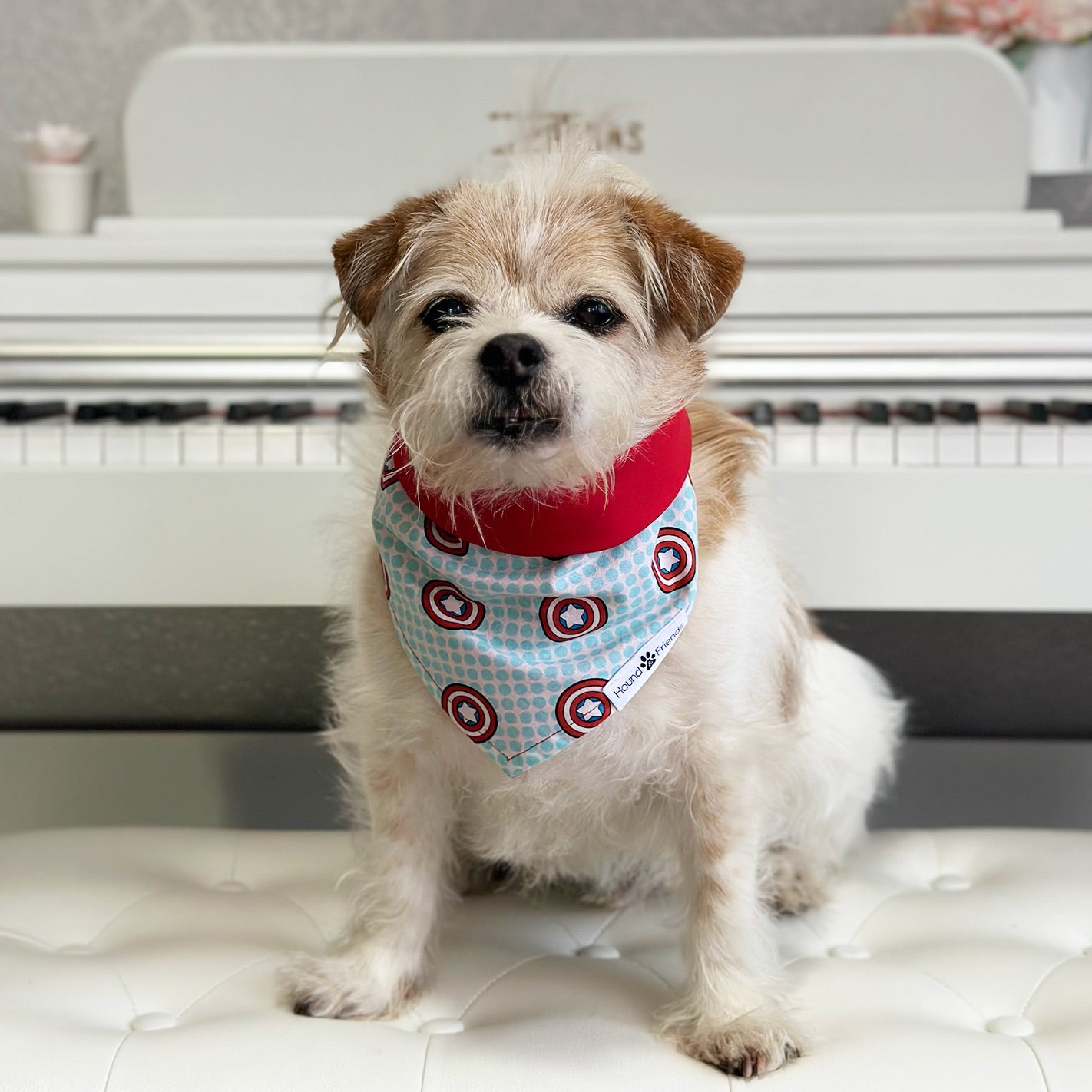 Handmade dog bandana matching with their owners. Hound and Friends. Cute and fun pet accessories. Captain America shield reversible bandana. Red Bandanas.