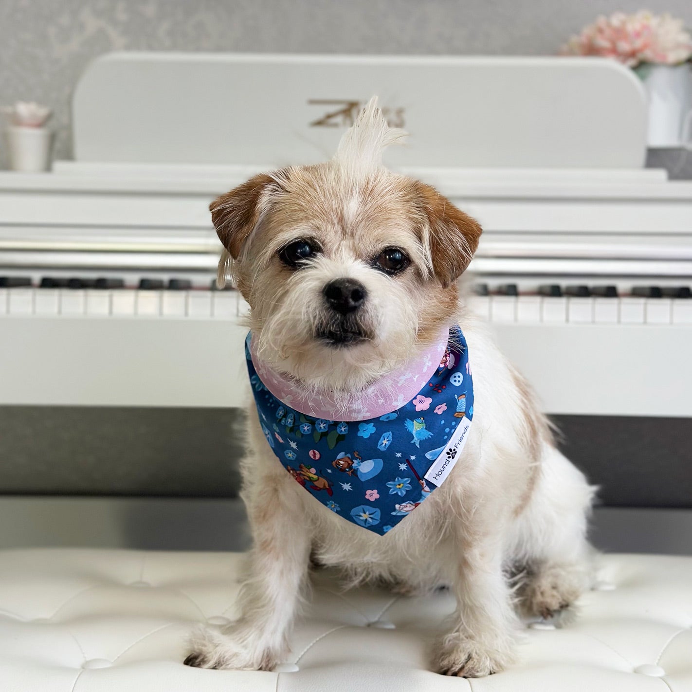 Handmade dog bandana matching with their owner. Hound and Friends. Cute and fun pet accessories. Cinderella reversible bandana.