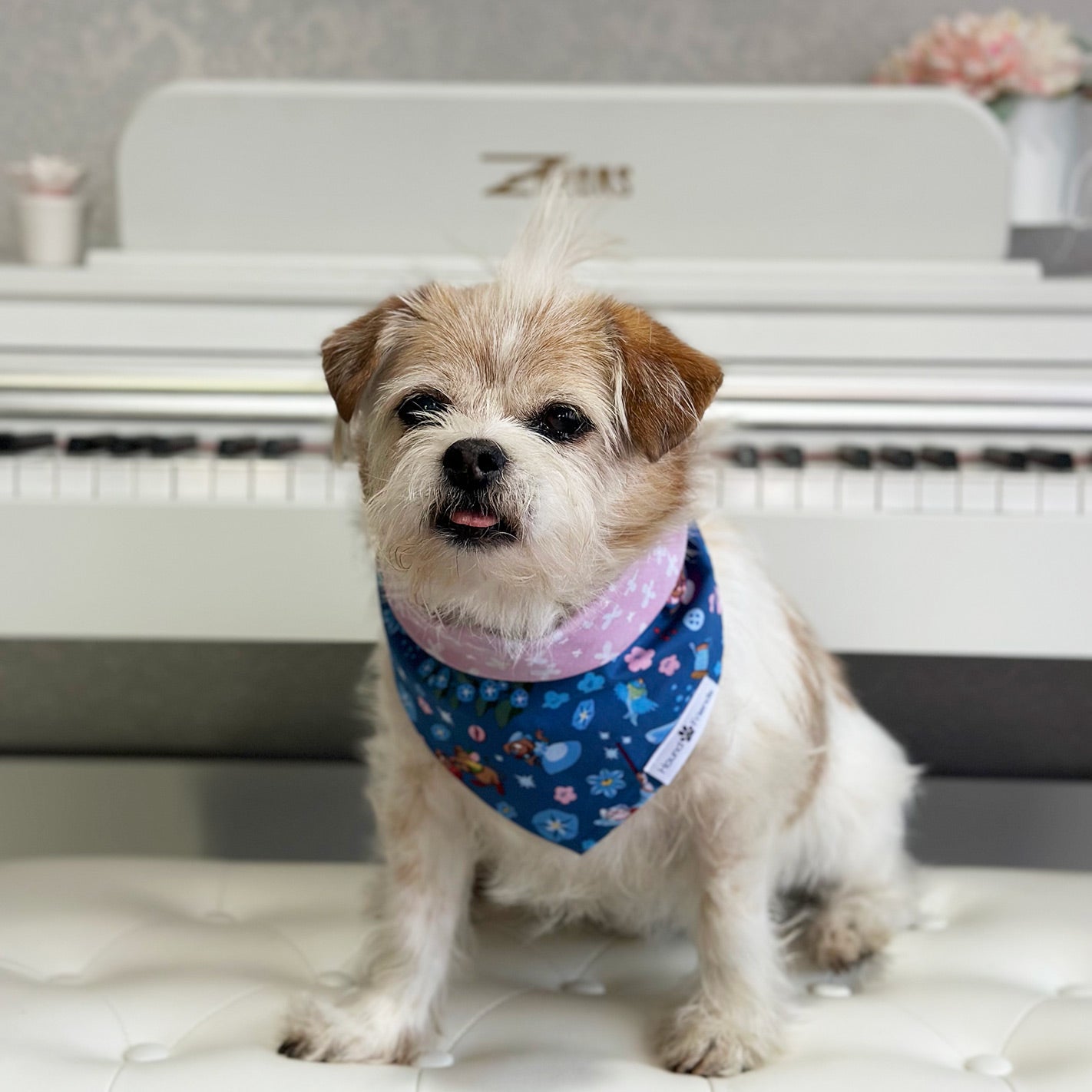 Handmade dog bandana matching with their owner. Hound and Friends. Cute and fun pet accessories. Cinderella reversible bandana.