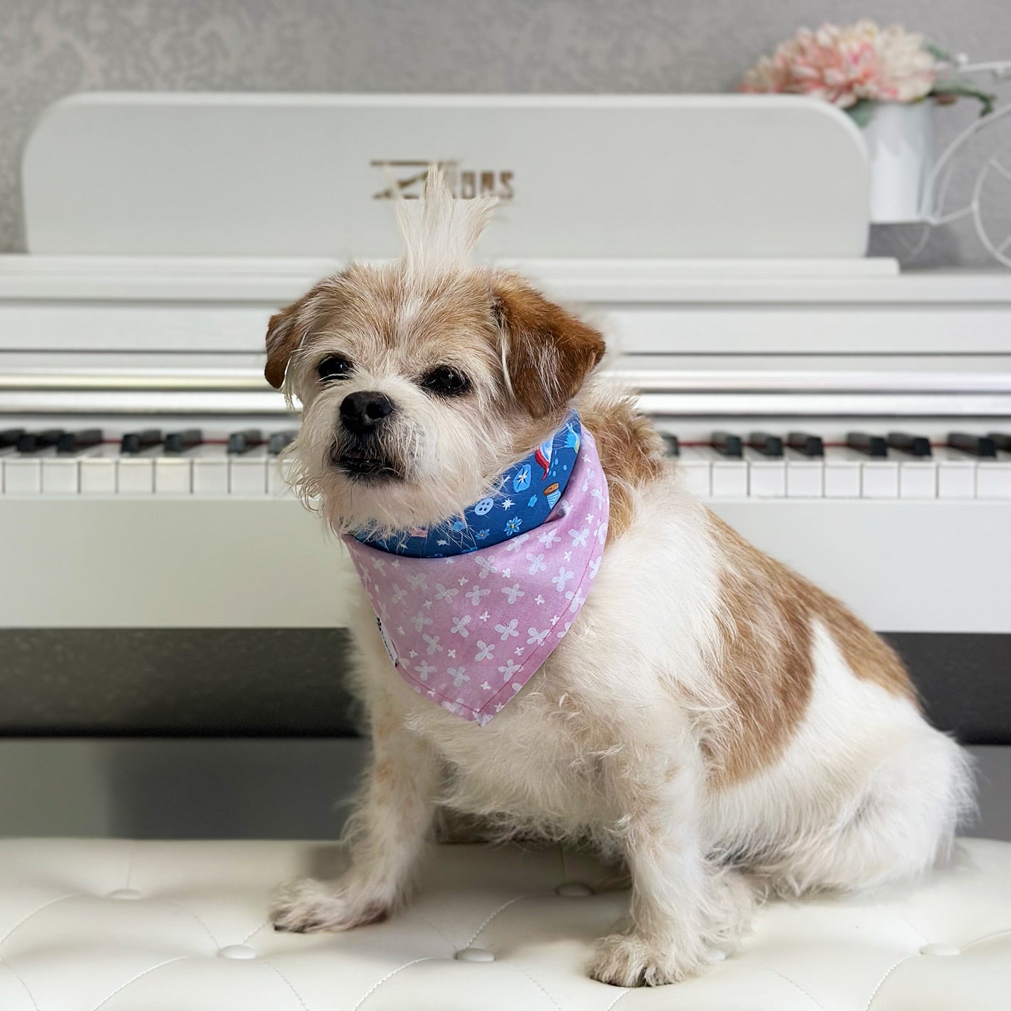 Handmade dog bandana matching with their owner. Hound and Friends. Cute and fun pet accessories. Cinderella reversible bandana.