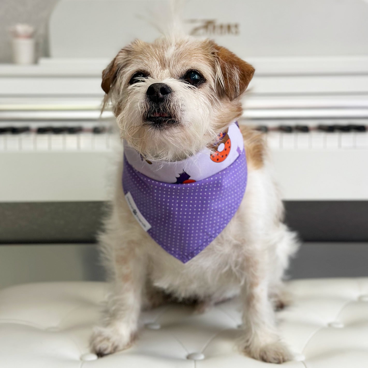 Handmade dog bandana matching with their owners. Hound and Friends. Cute and fun pet accessories. Halloween Mickey Mouse reversible bandana. Purple Polka Dot Bandanas.