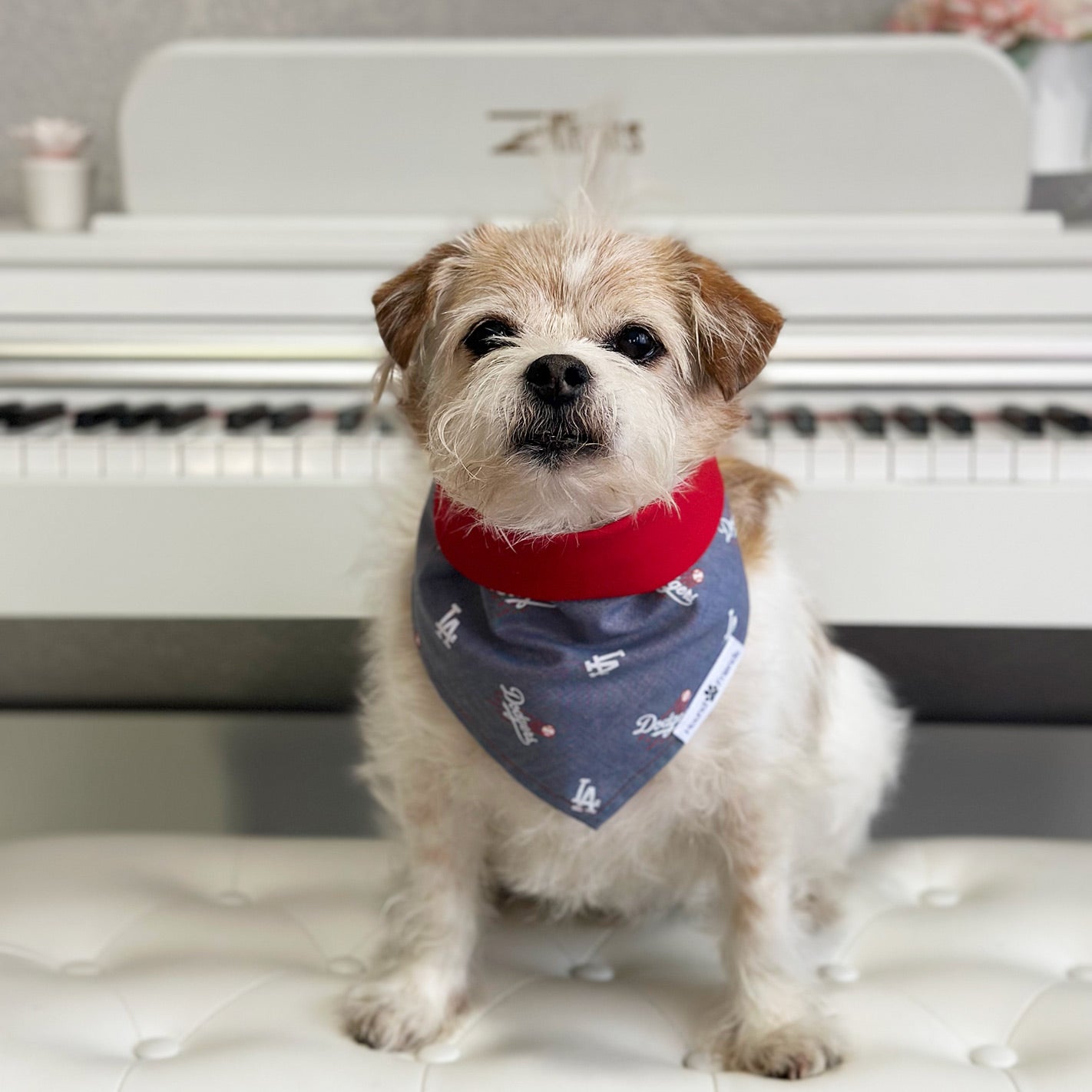 Handmade dog bandana matching with their owners. Hound and Friends. Cute and fun pet accessories. LA Dodgers reversible bandana. Red Bandanas.