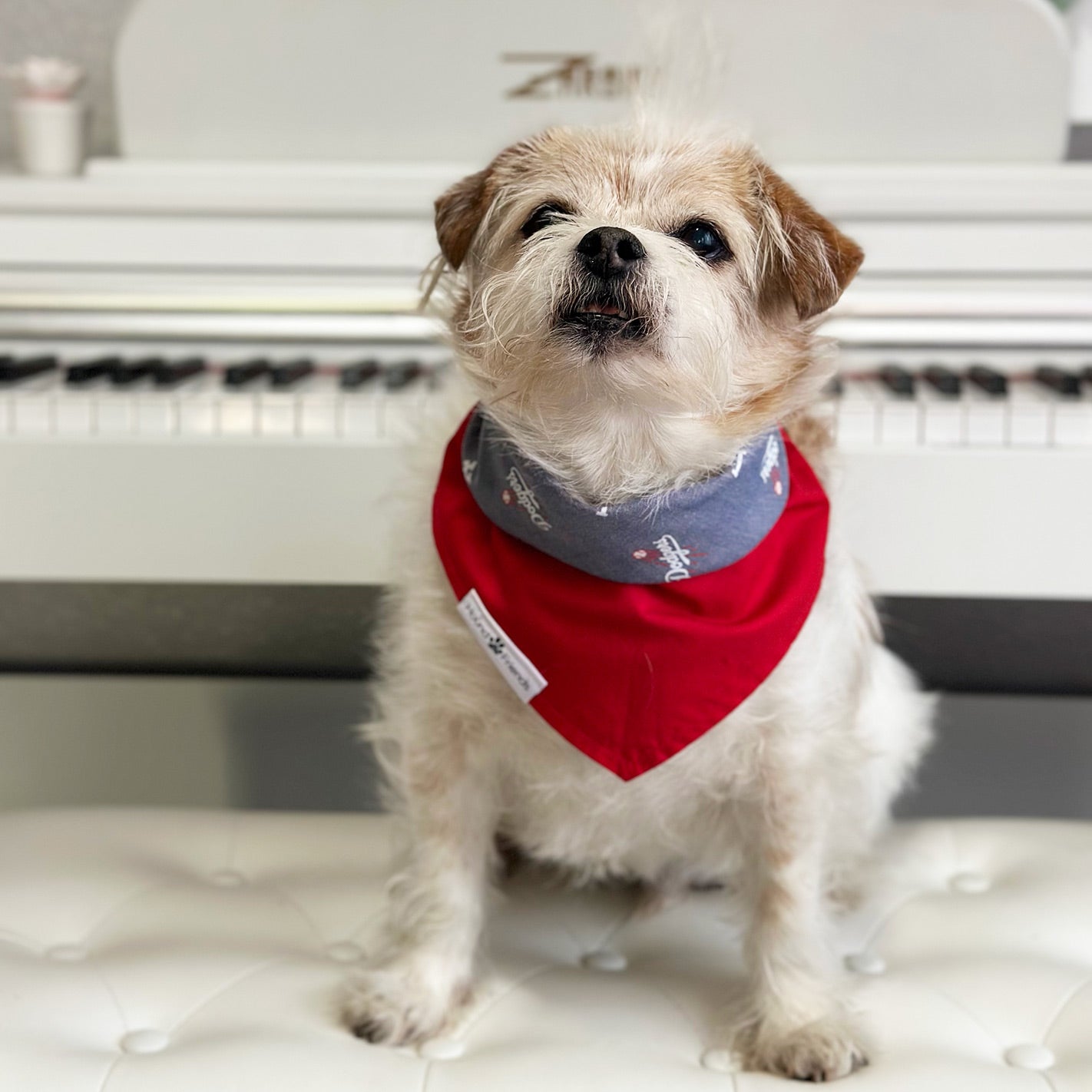 Handmade dog bandana matching with their owners. Hound and Friends. Cute and fun pet accessories. LA Dodgers reversible bandana. Red Bandanas.