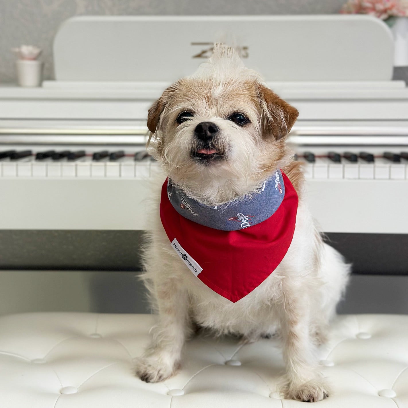 Handmade dog bandana matching with their owners. Hound and Friends. Cute and fun pet accessories. LA Dodgers reversible bandana. Red Bandanas.