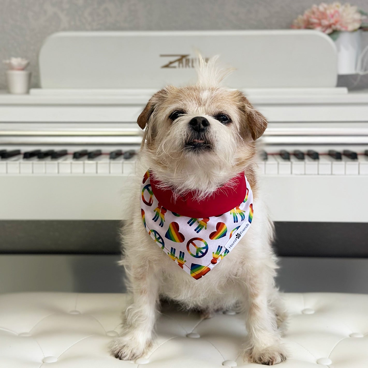 Handmade dog bandana matching with their owner. Hound and Friends. Cute and fun pet accessories. Rainbow Pride reversible bandana.