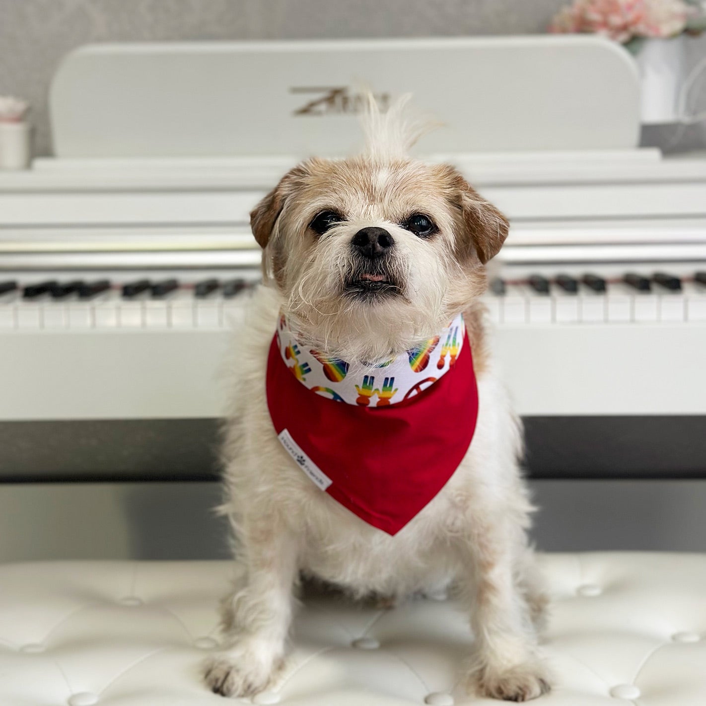 Handmade dog bandana matching with their owner. Hound and Friends. Cute and fun pet accessories. Rainbow Pride reversible bandana.