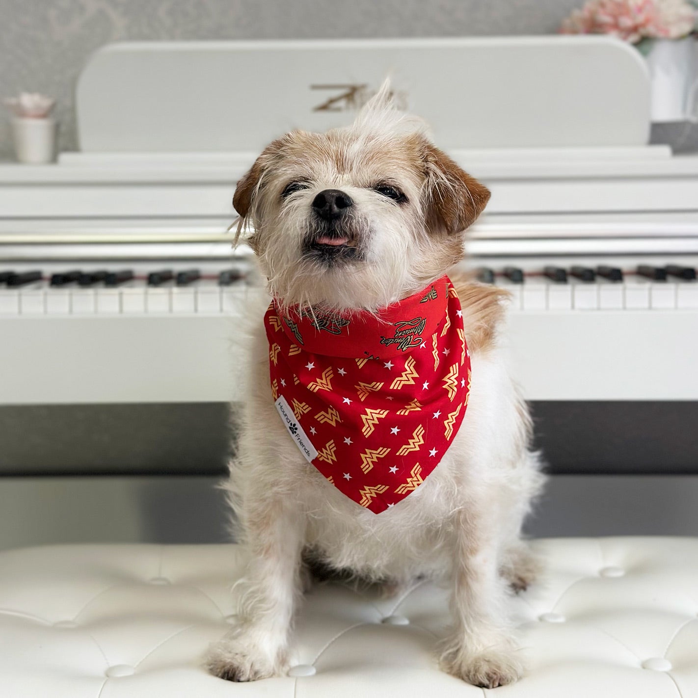 Handmade dog bandana matching with their owners. Hound and Friends. Cute and fun pet accessories. Red Wonder Woman reversible bandana. Metallic Bandanas.