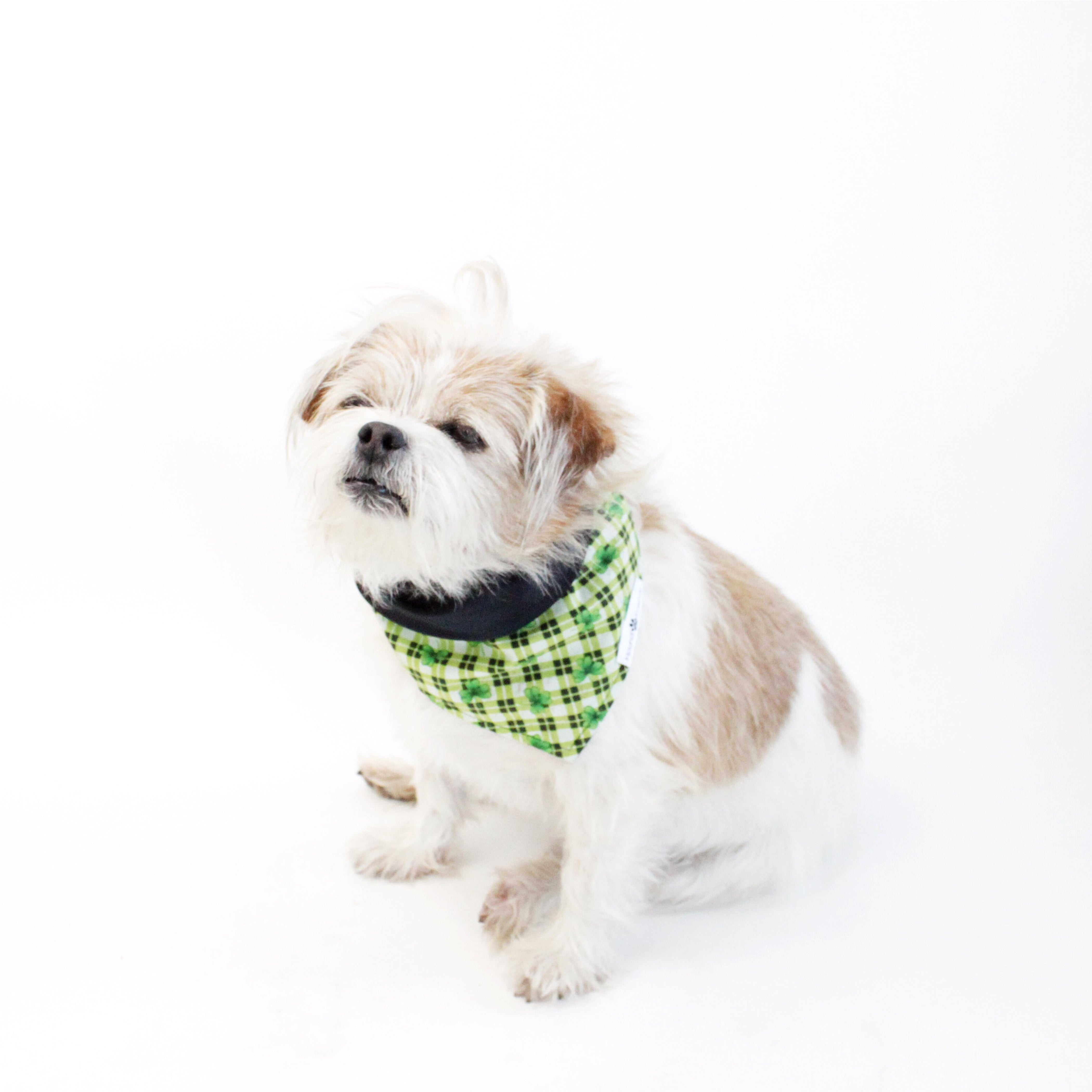 Bailey Reversible Bandana