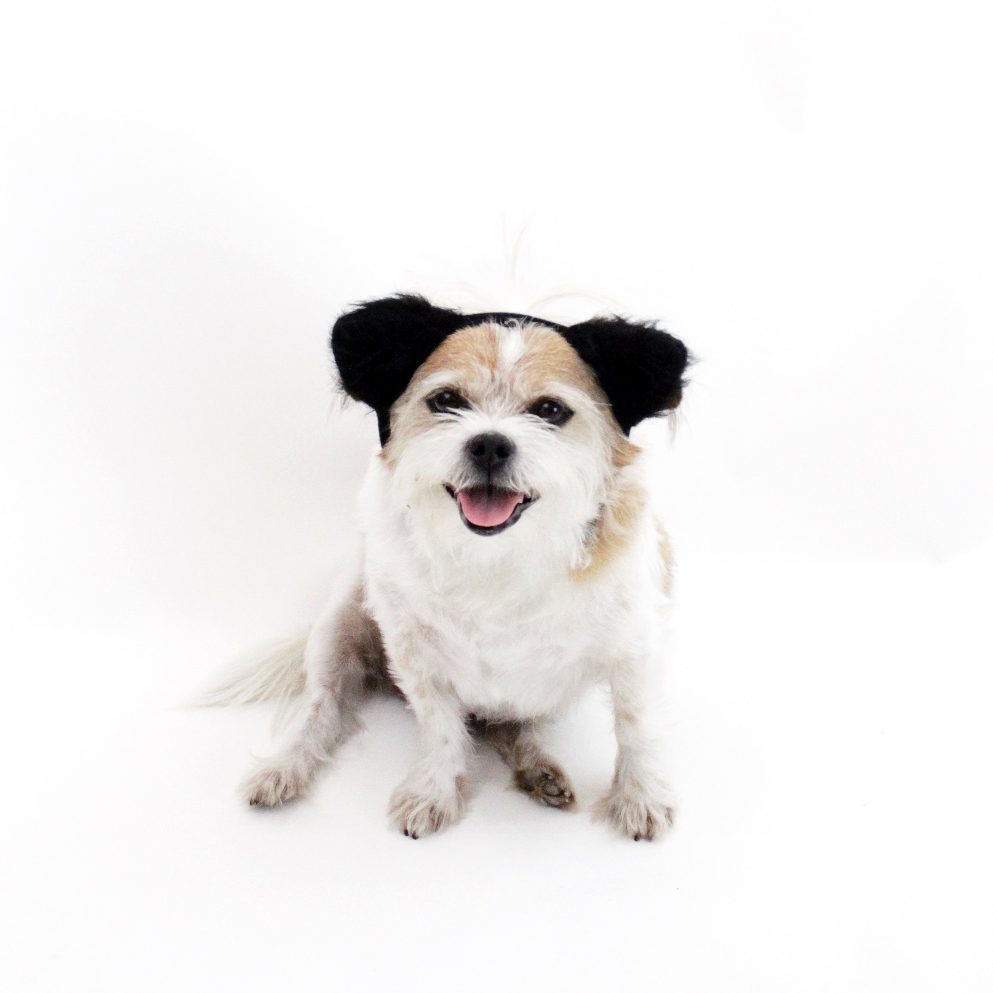 Black Fuzzy Ears Headband