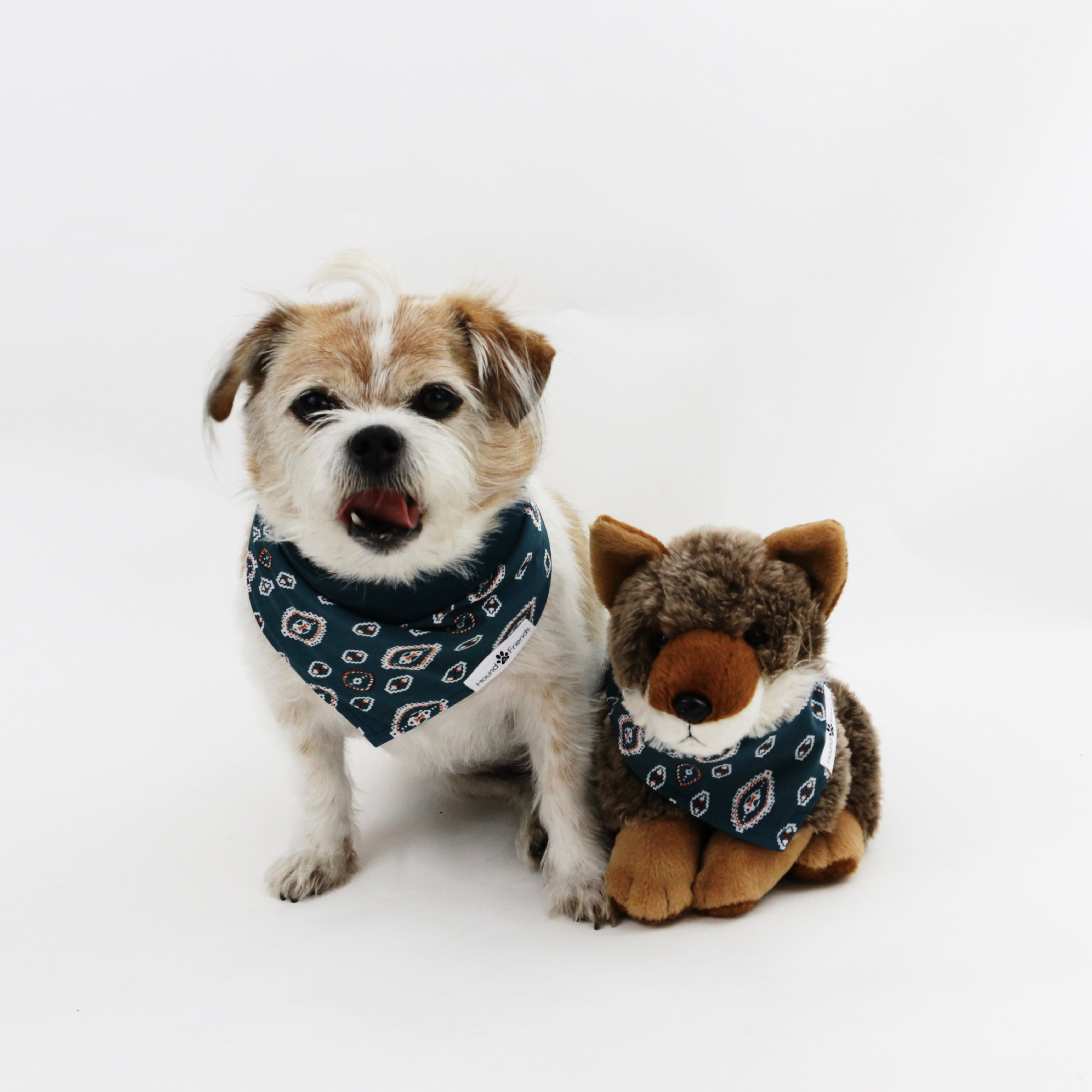 Calvin Reversible Dog Bandanas matching with their owners | Hound and Friends