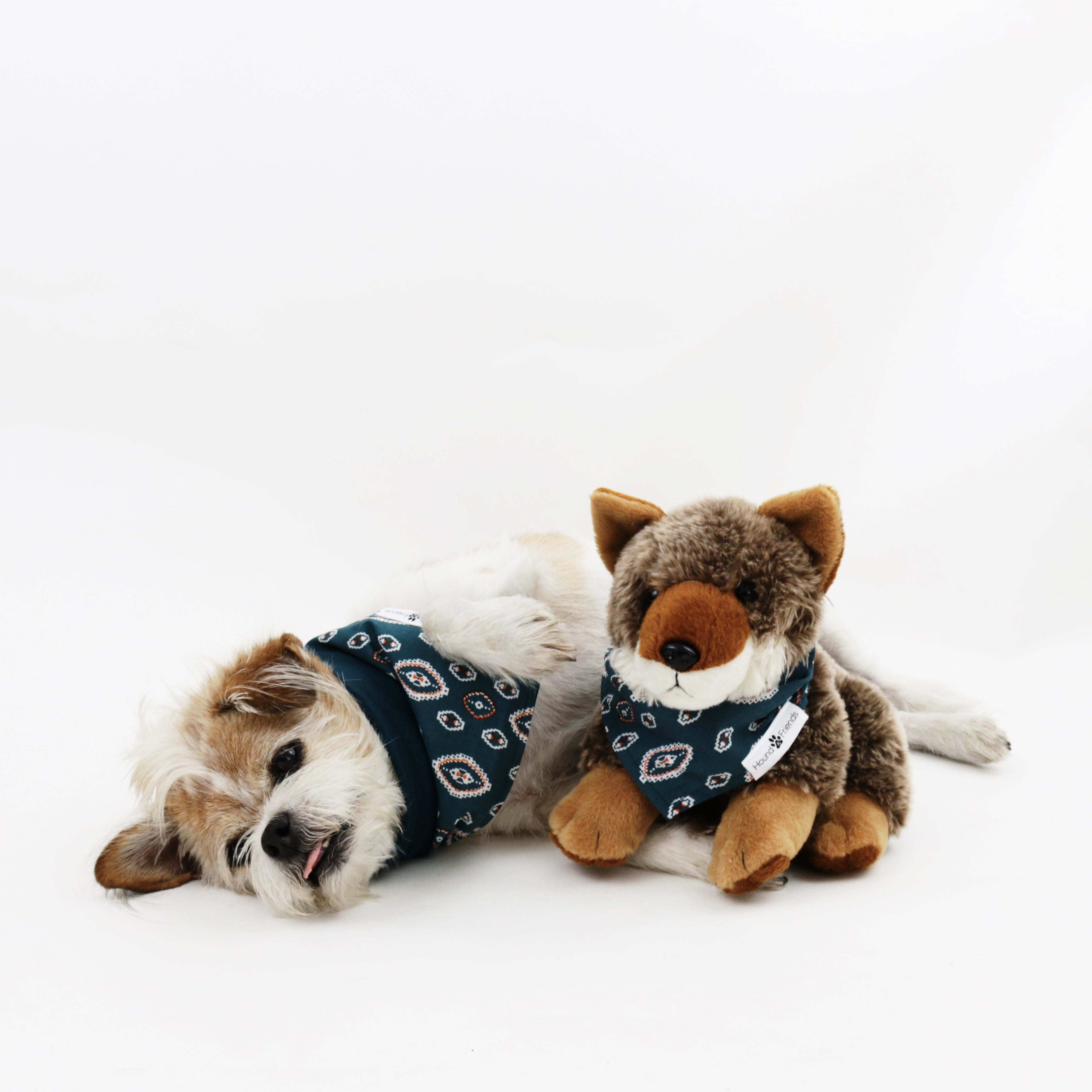 Calvin Reversible Dog Bandanas matching with their owners | Hound and Friends