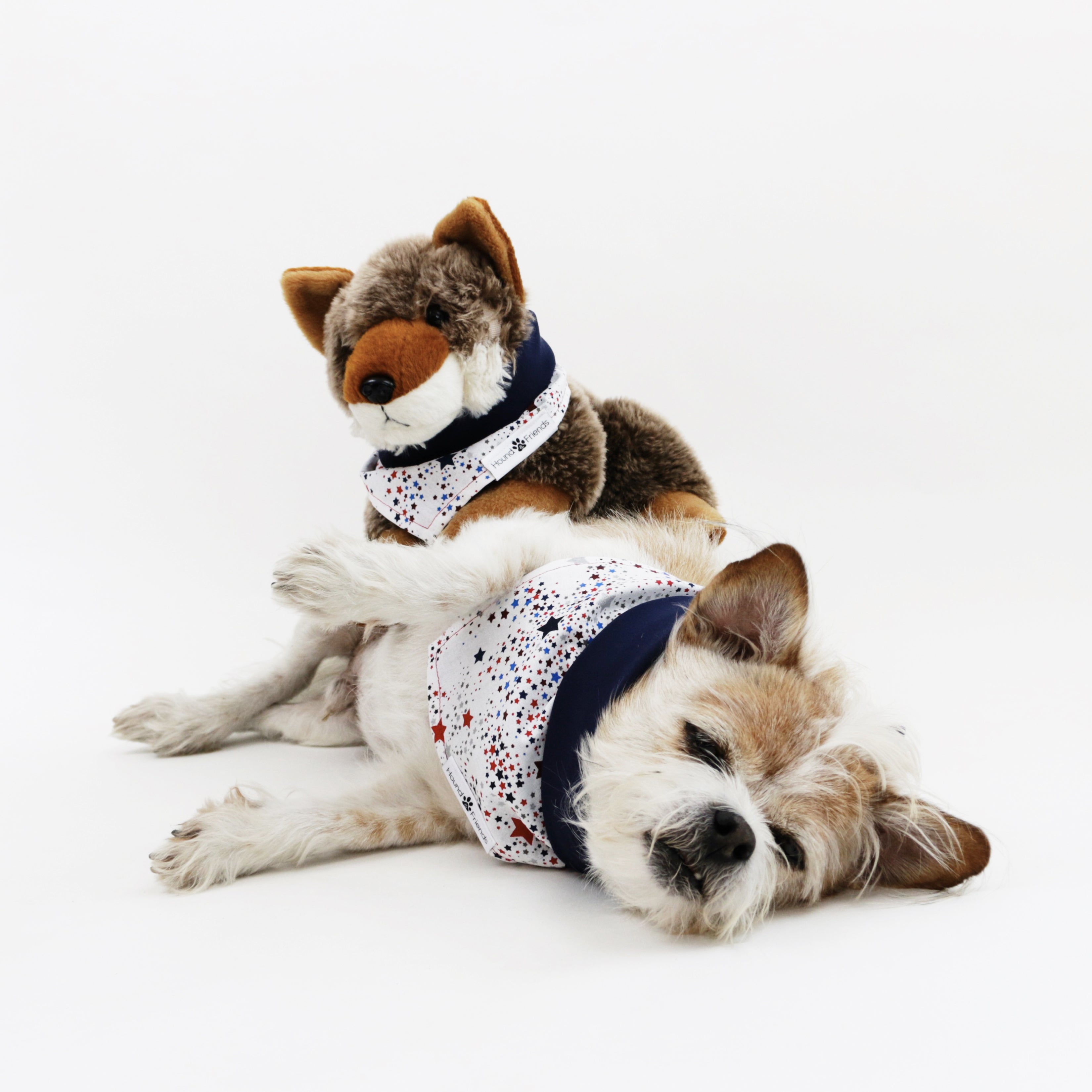 Captain Reversible 4th of July stars dog Bandana matching with owners at Hound and Friends