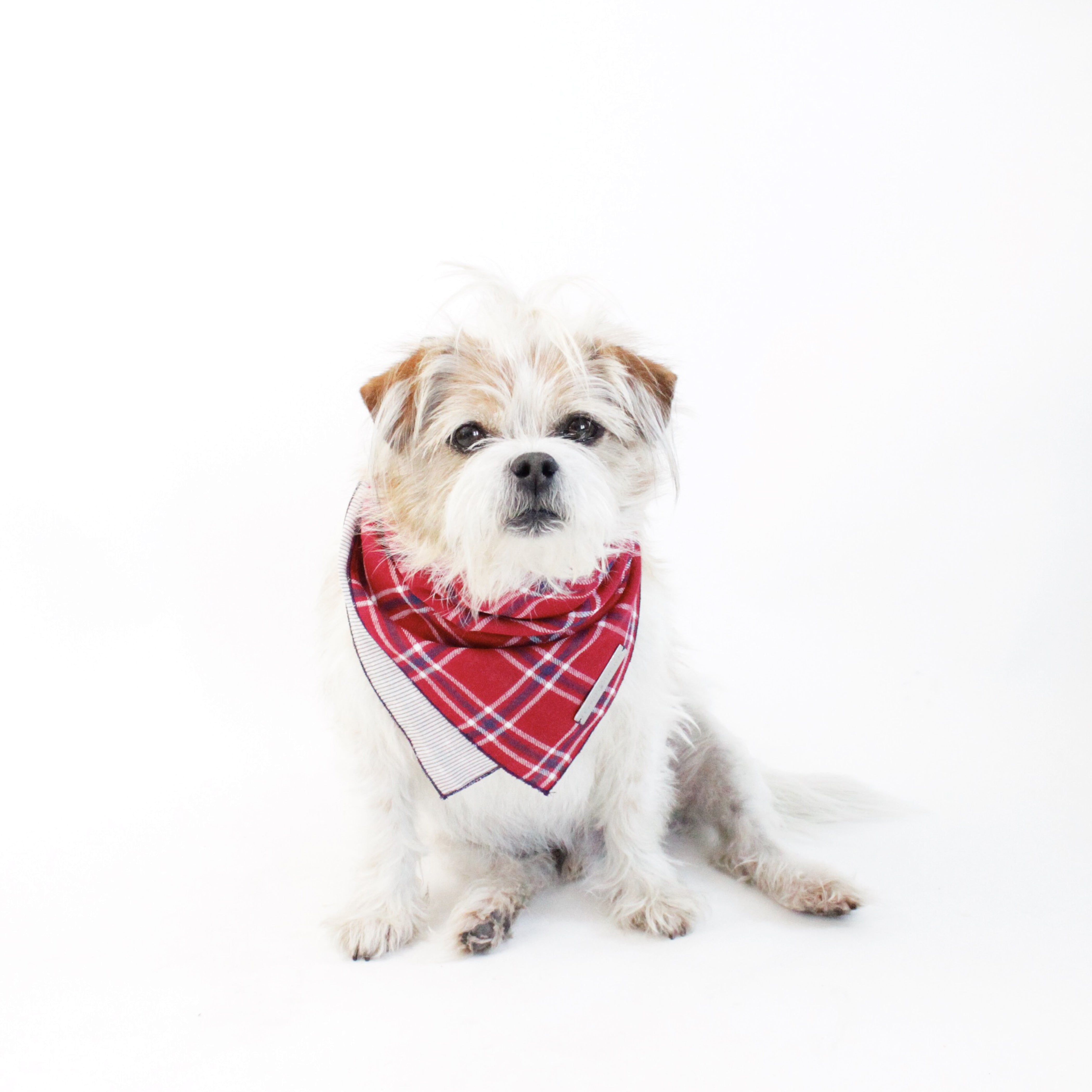 Dara Reversible Tie on Dog Square Bandana | Hound and Friends