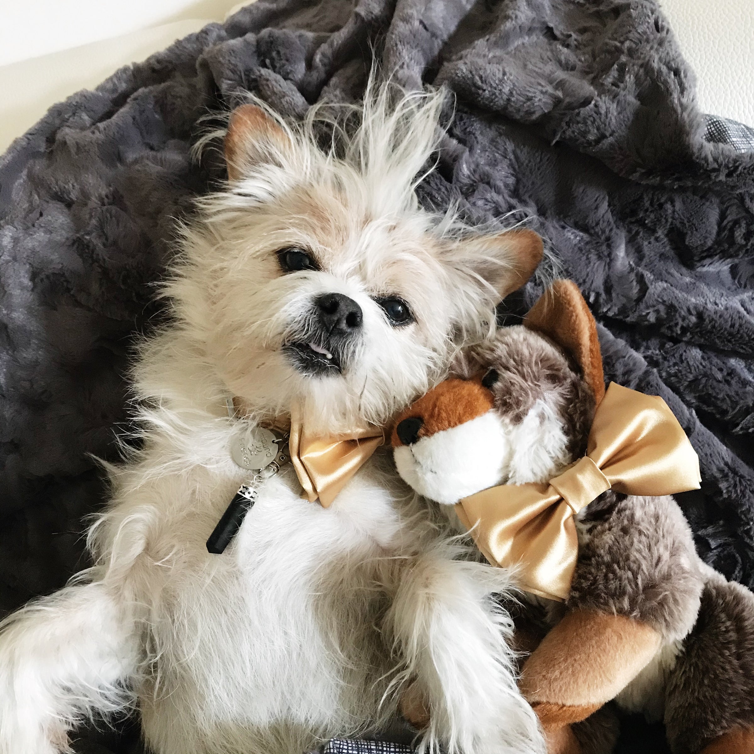 Luxury Faux Fur Gray Blankets for your pets and people from Hound and Friends