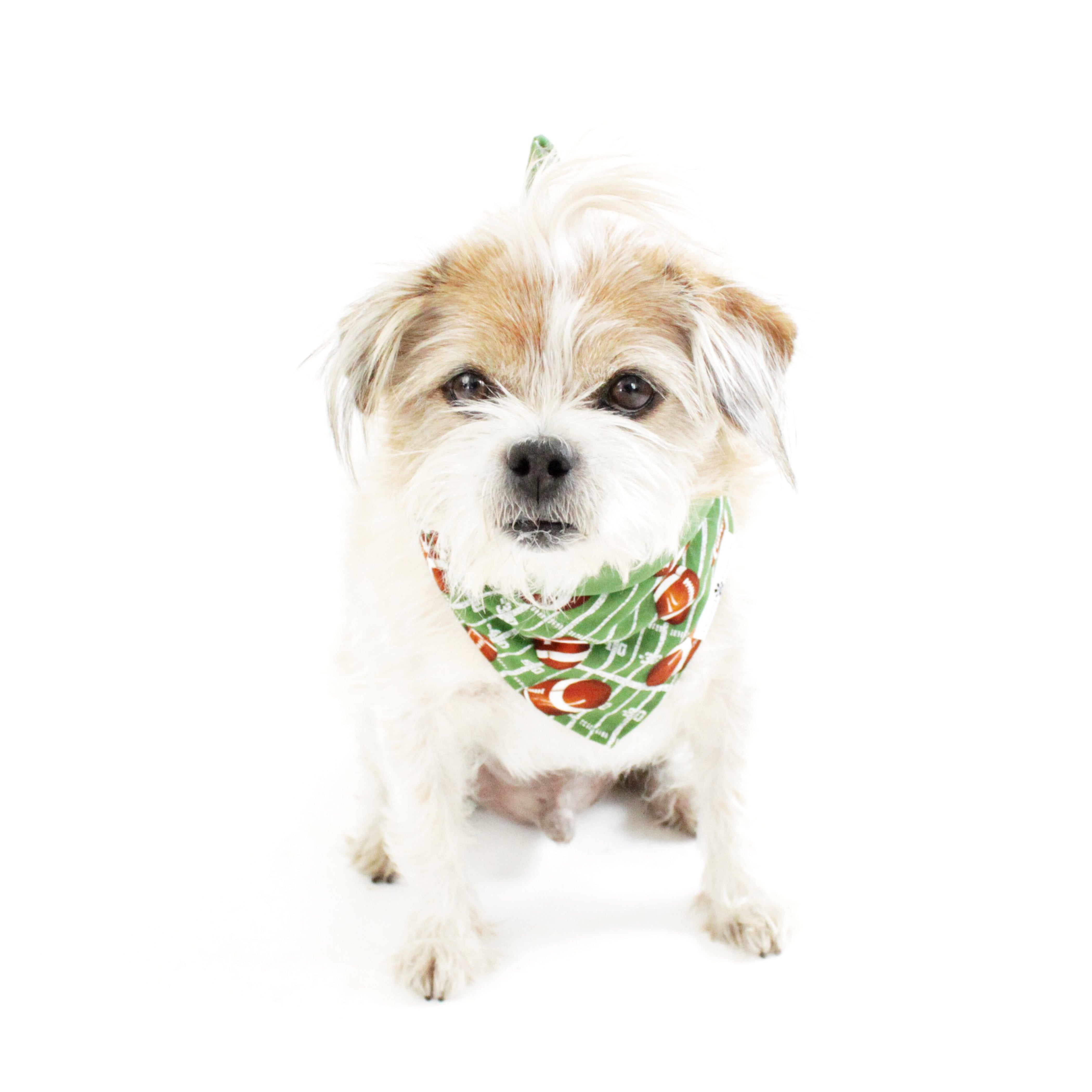 Football Suppawter Reversible Bandana - Shine on Me Pet Boutique