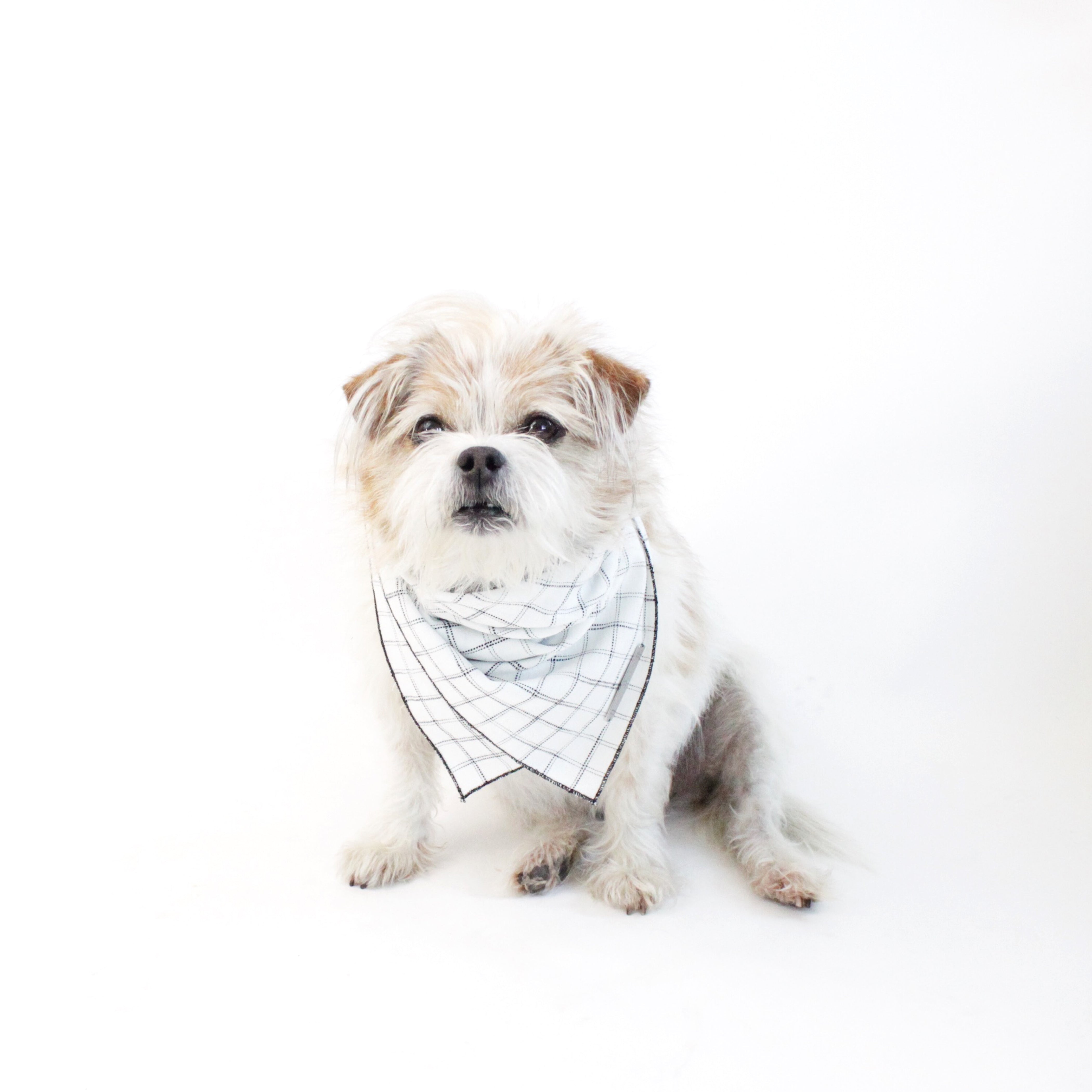 Gus Reversible Dog Bandana to match with people and pups | Hound and Friends