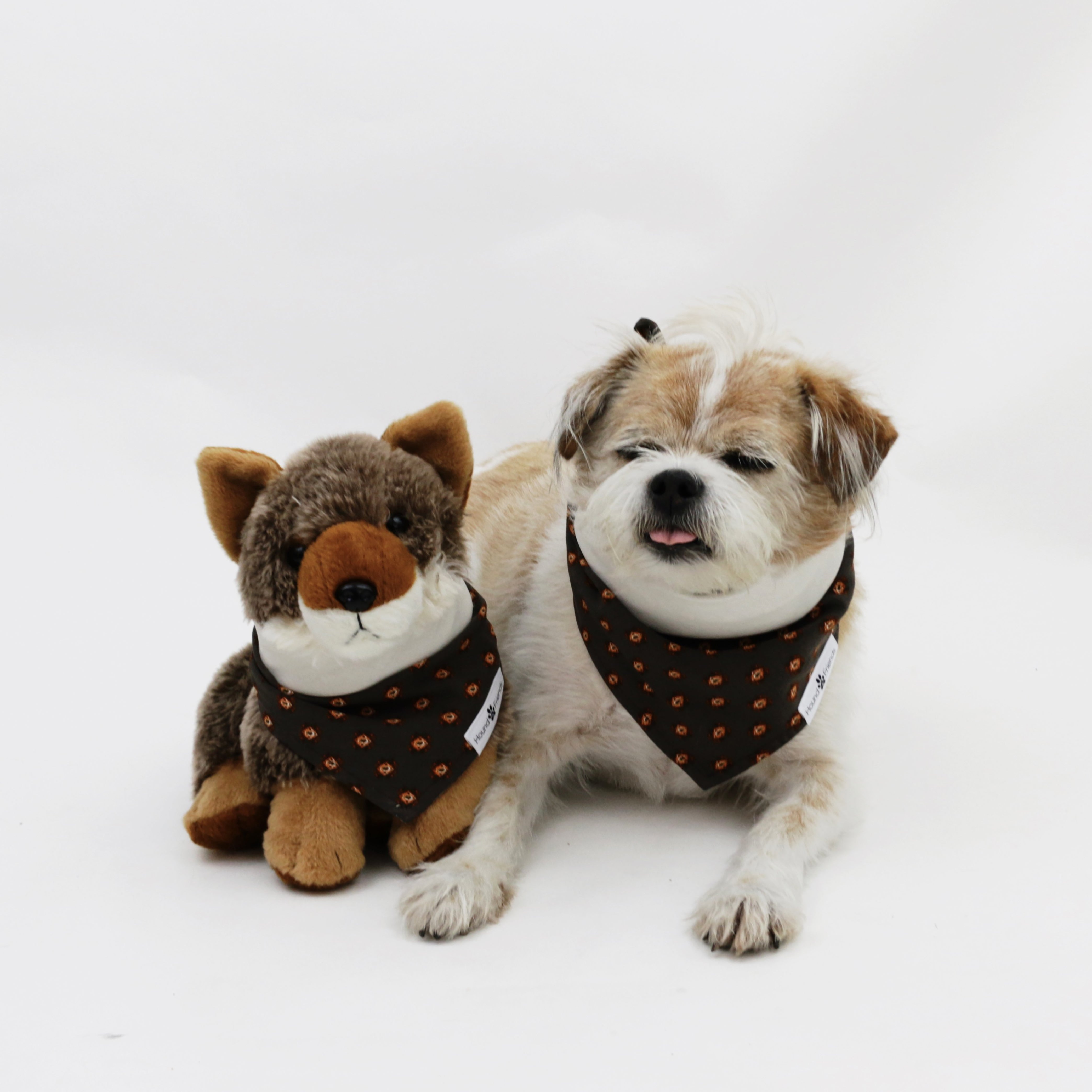 Hogan Reversible Dog Bandana matching with owners | Hound and Friends