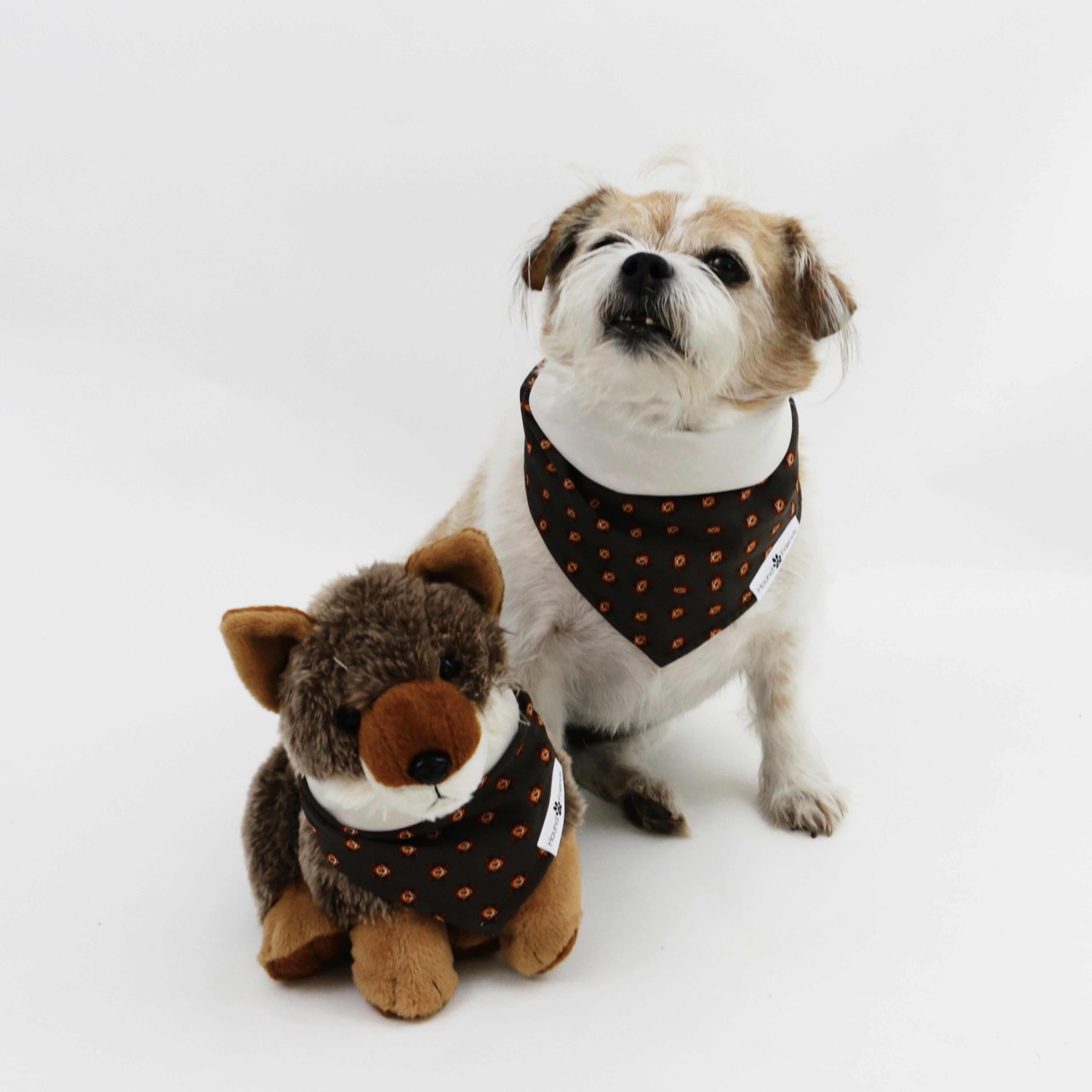 Hogan Reversible Dog Bandana matching with owners | Hound and Friends