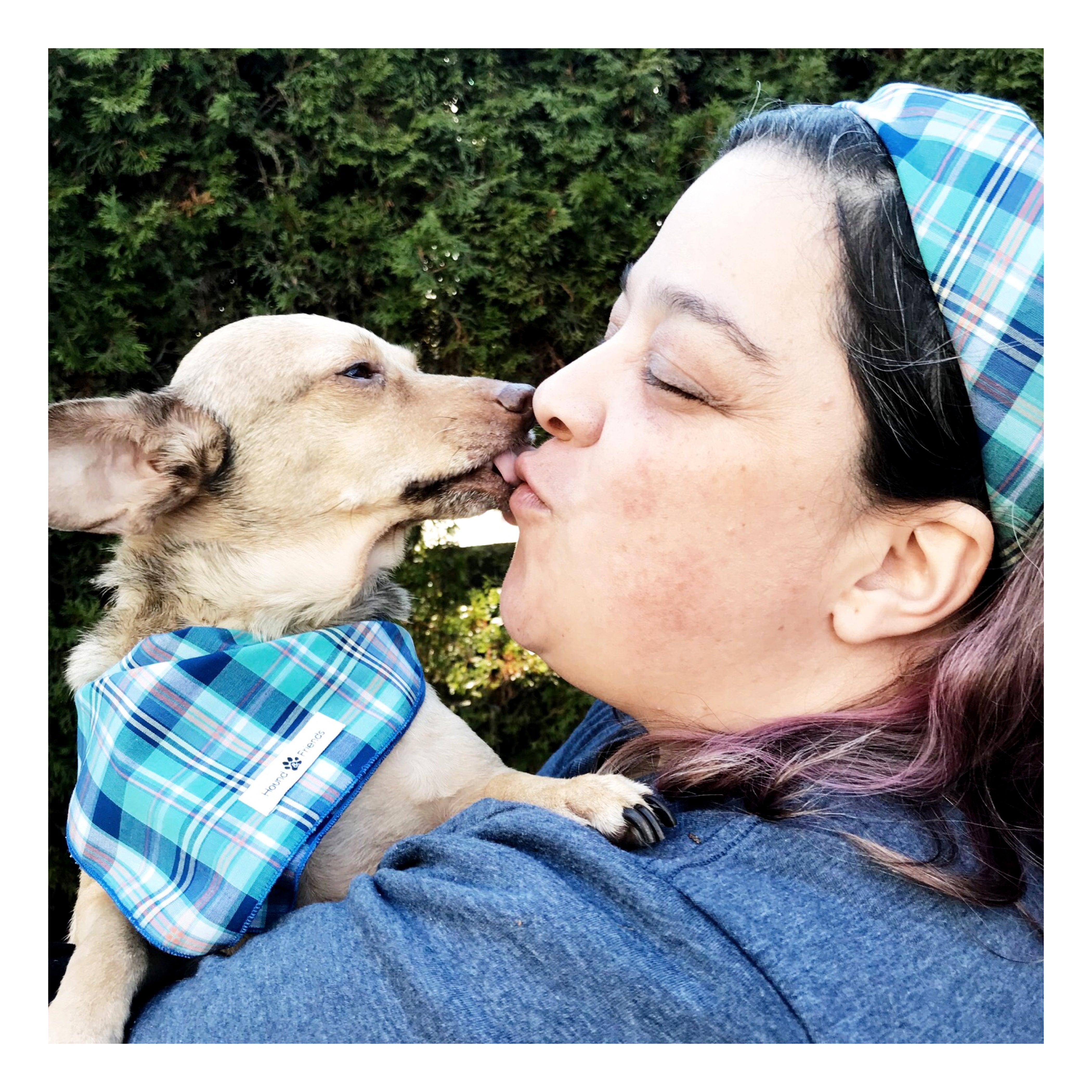 Stripes and Plaids Dog Bandanas Bundles | Hound and Friends