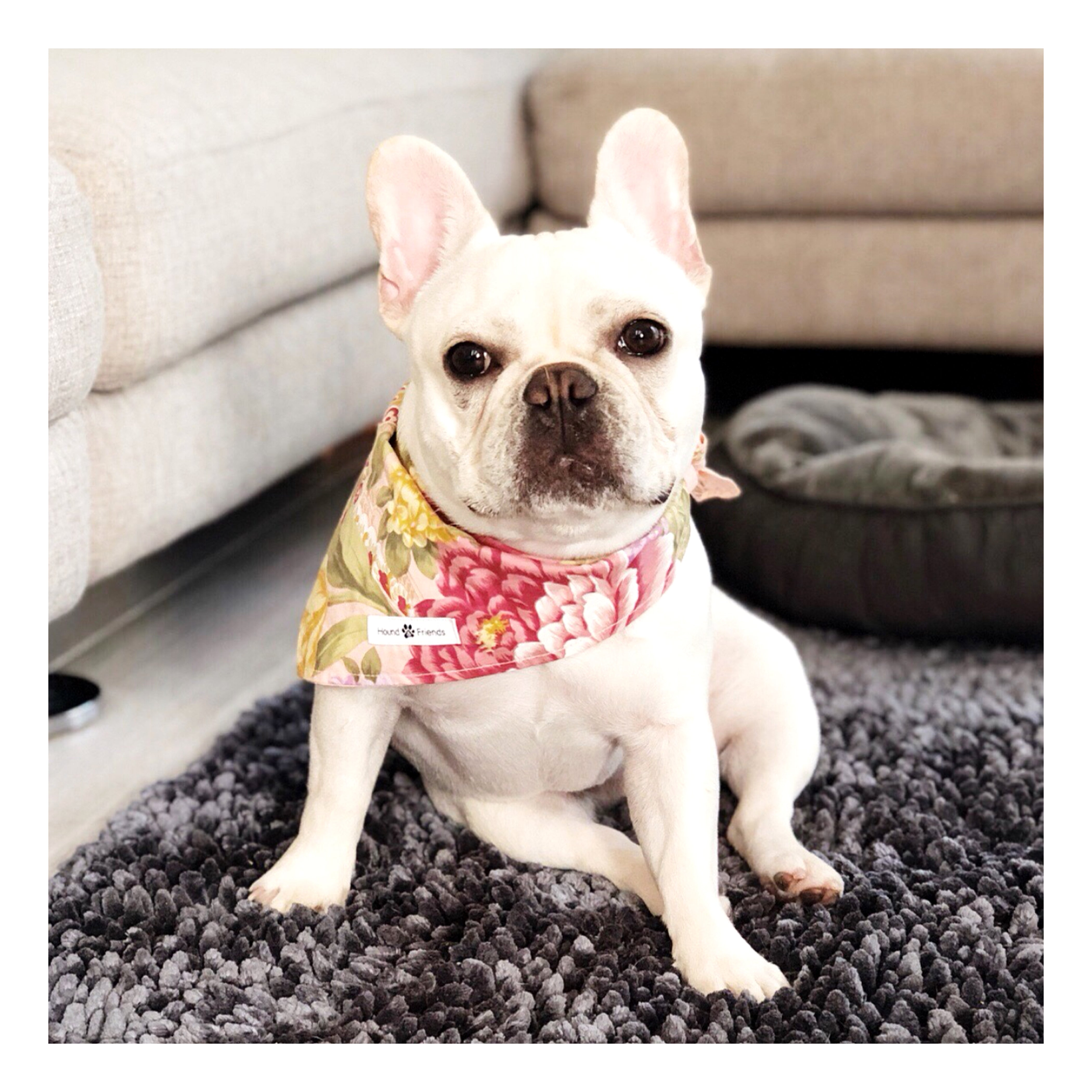 Floral Matching Dog Bandana Bundle Deal | Hound and Friends