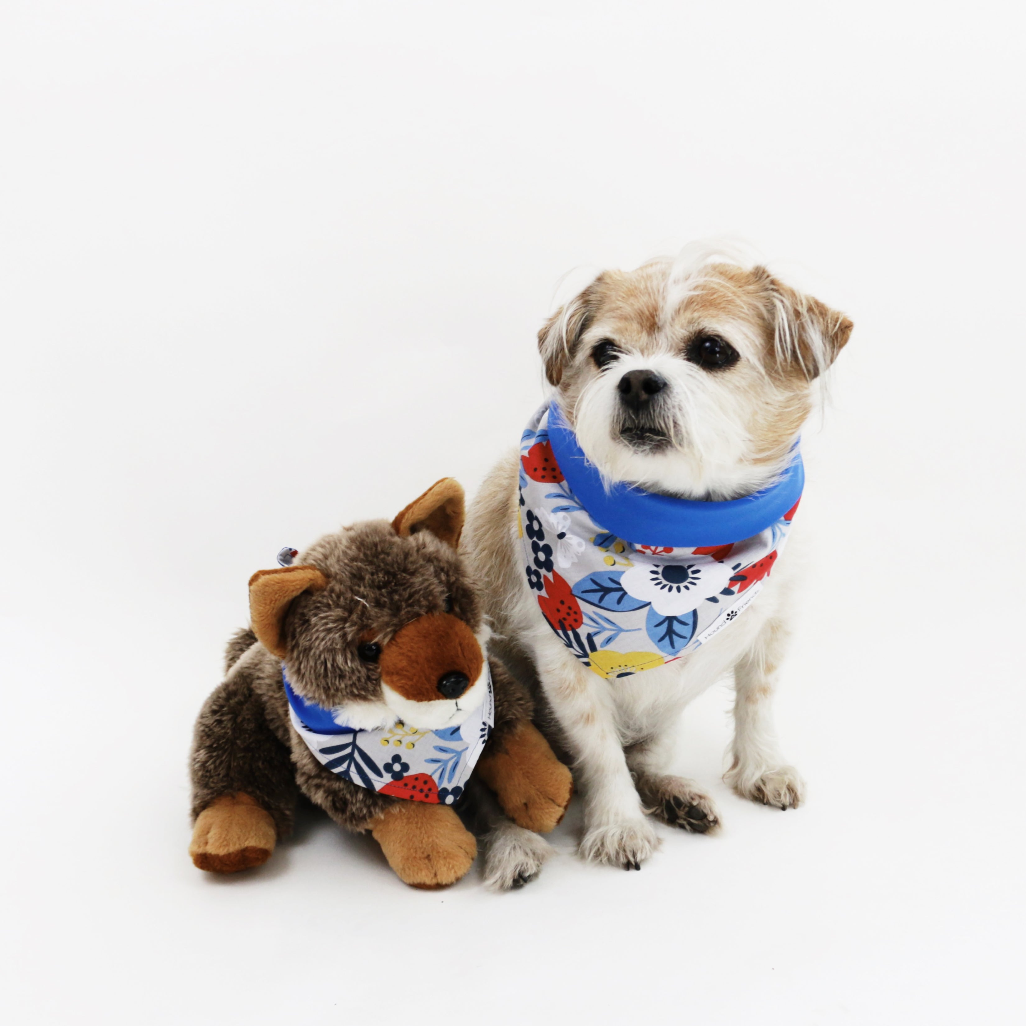 Jack Reversible Florals Dog Bandana matching with owners at Hound and Friends