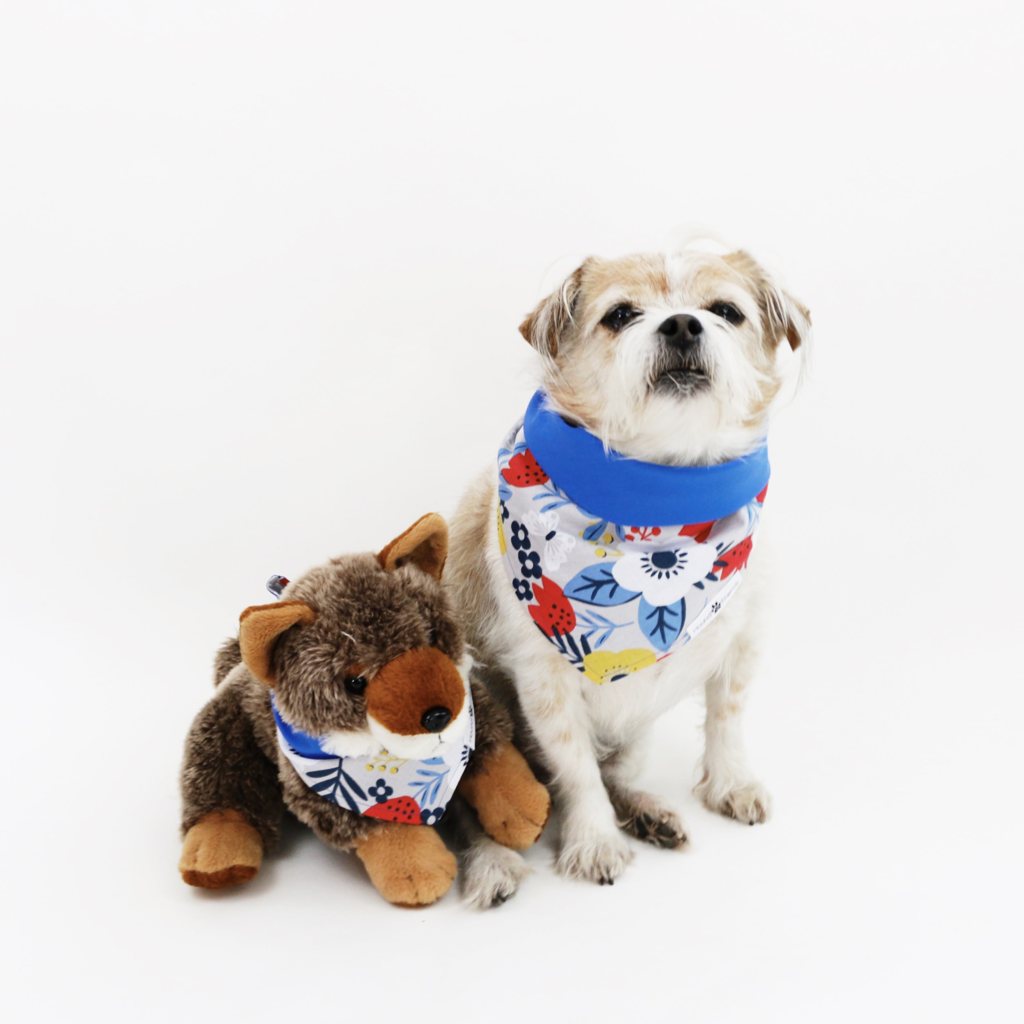 Jack Reversible Florals Dog Bandana matching with owners at Hound and Friends