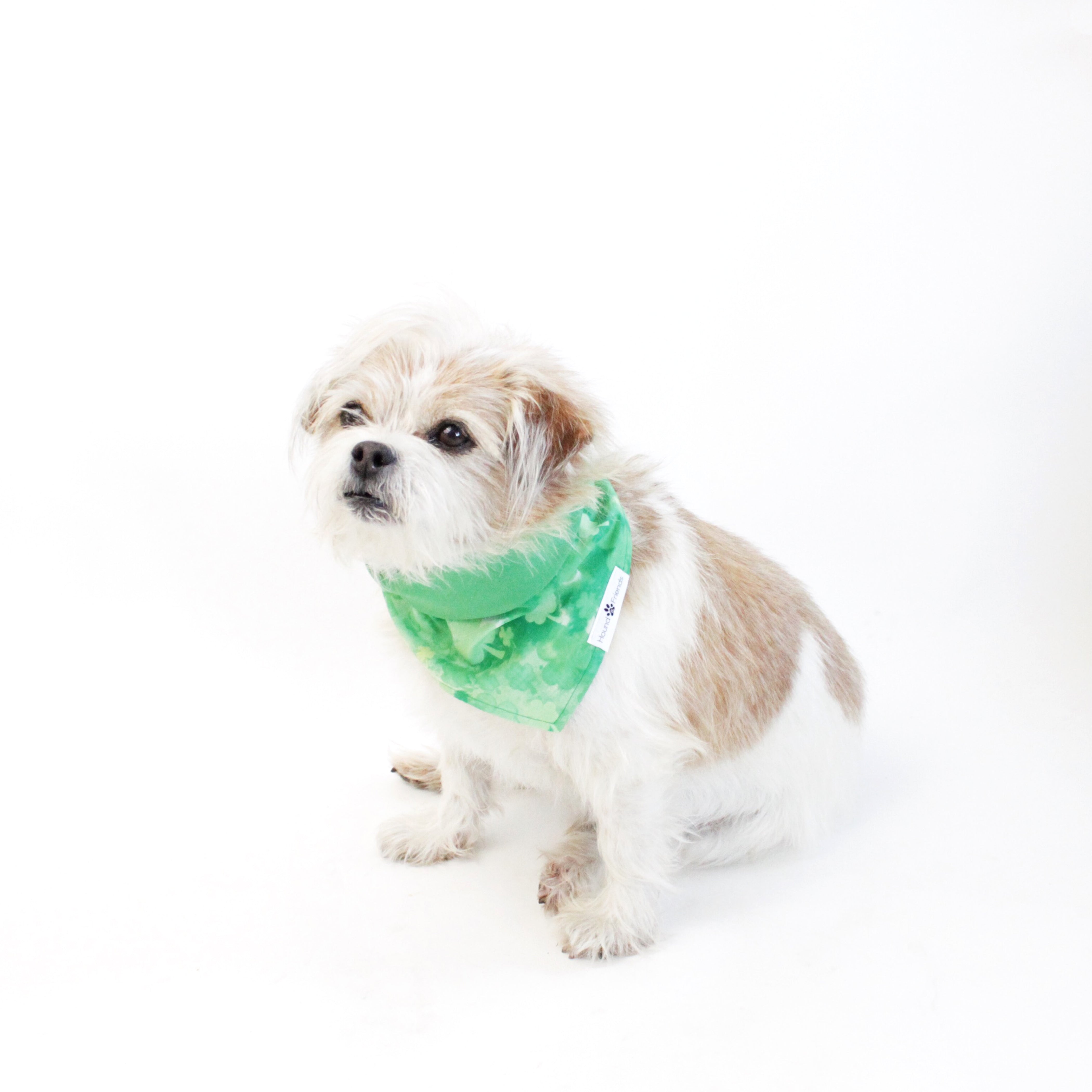 Jade Reversible Bandana