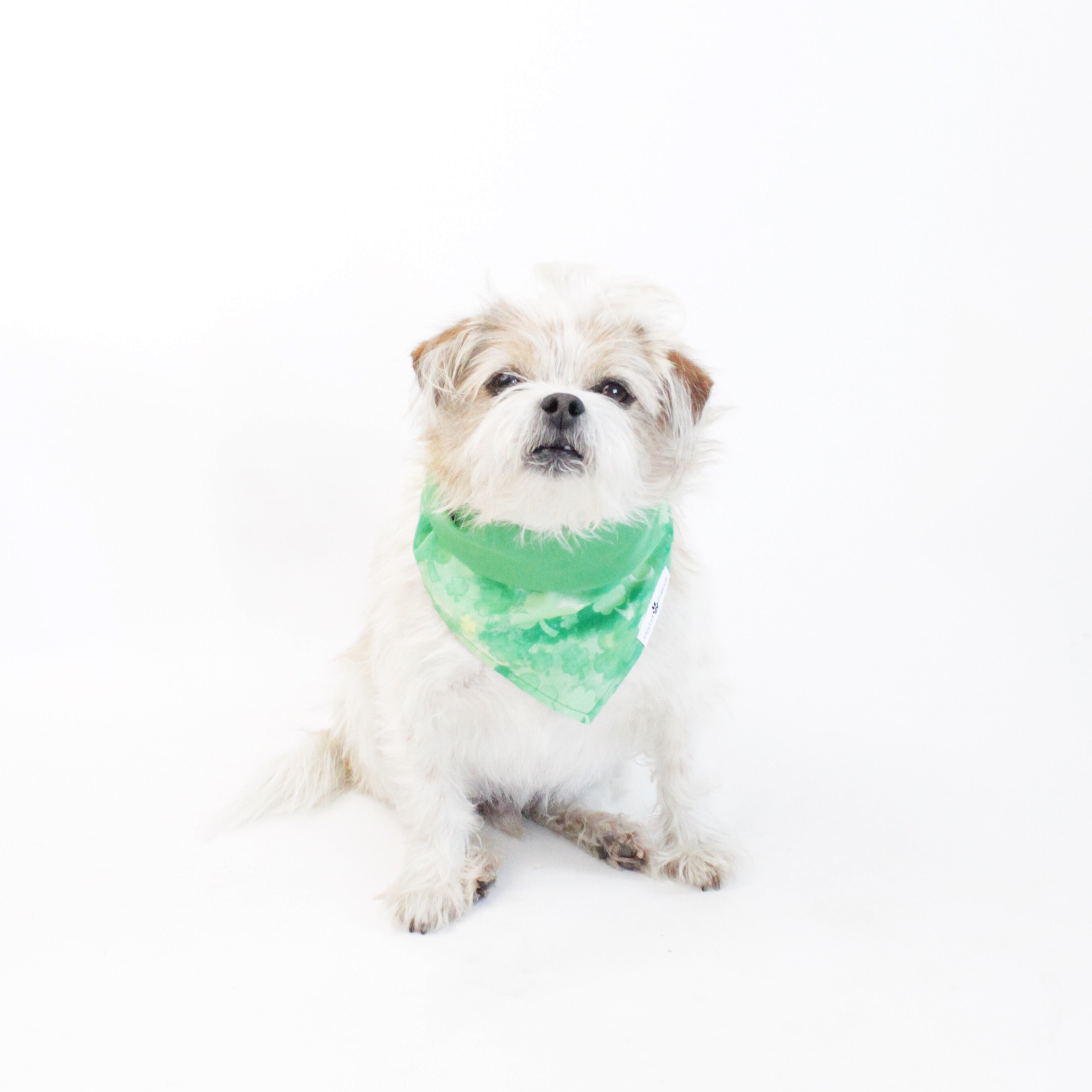 Jade Reversible Bandana