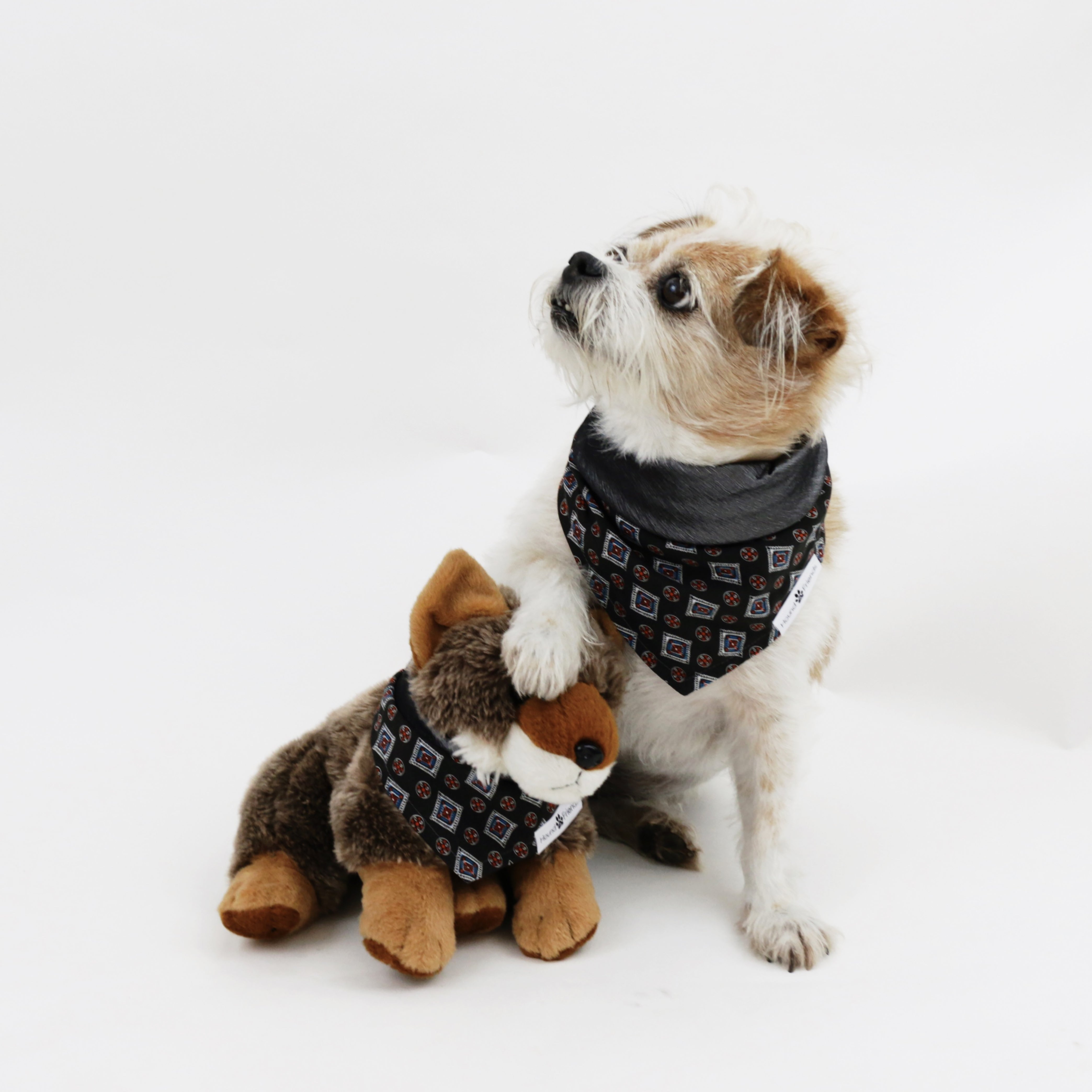 Louisville Cardinal Reversible Dog Bandana 