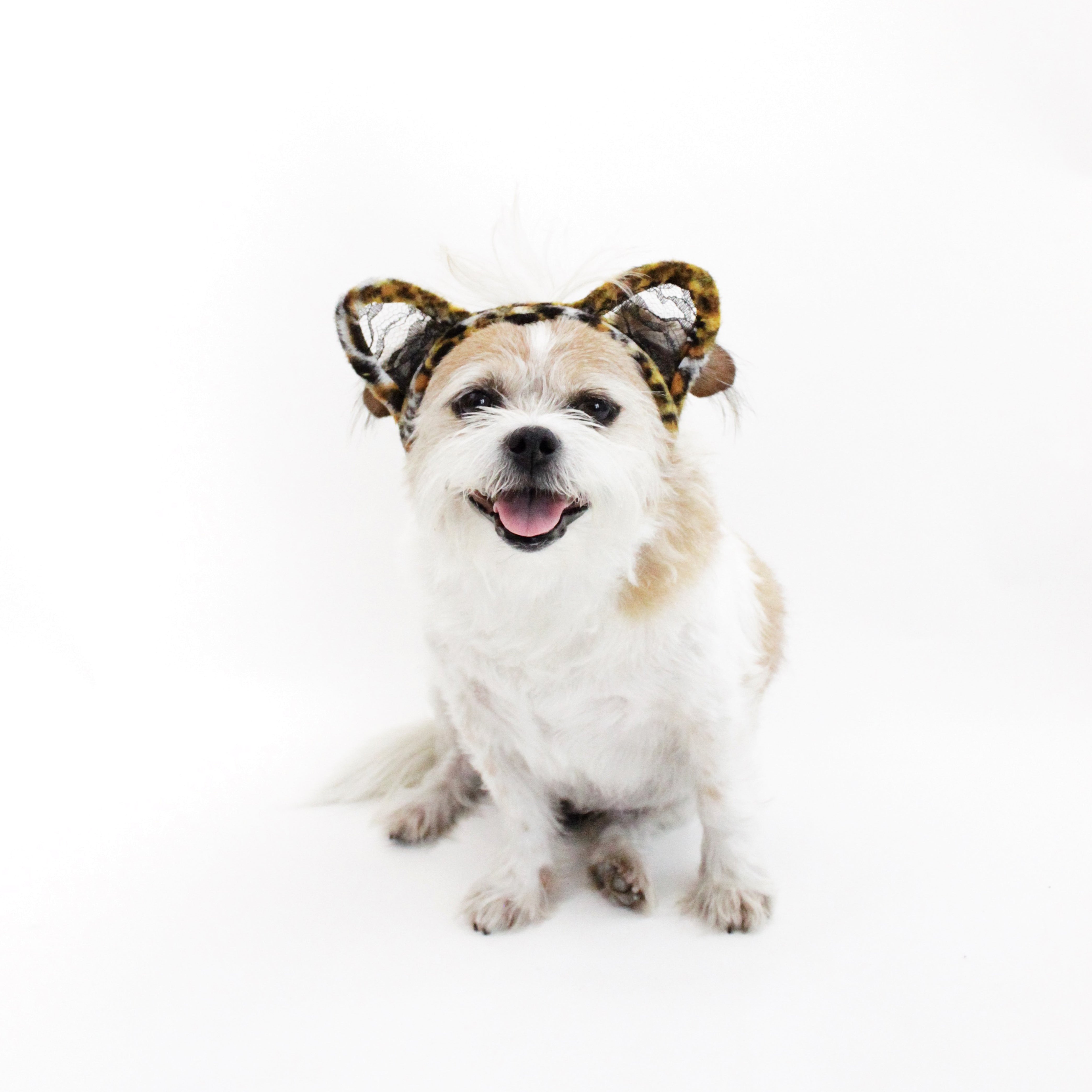 Leopard Lace Ears Headband