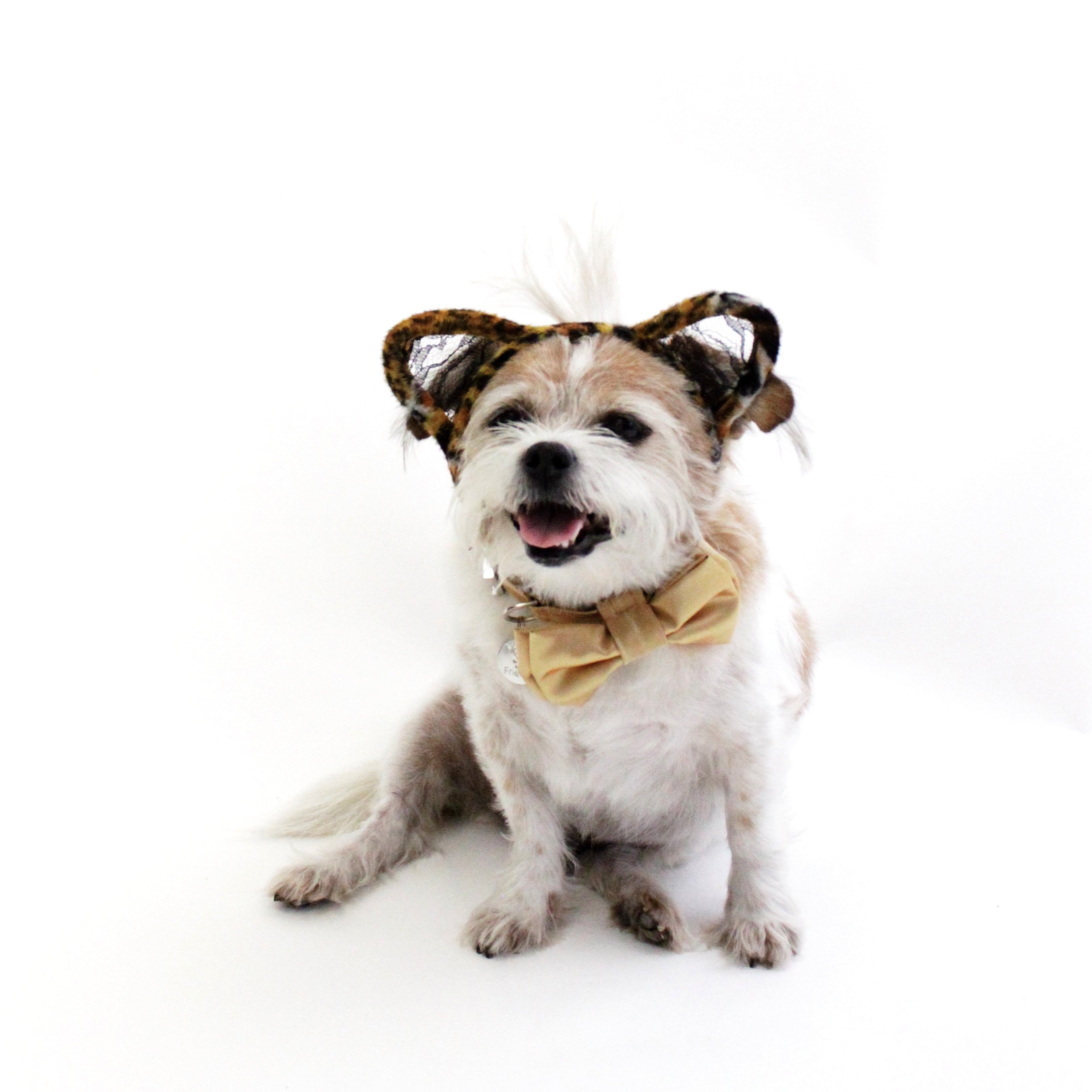 Leopard Lace Ears Headband