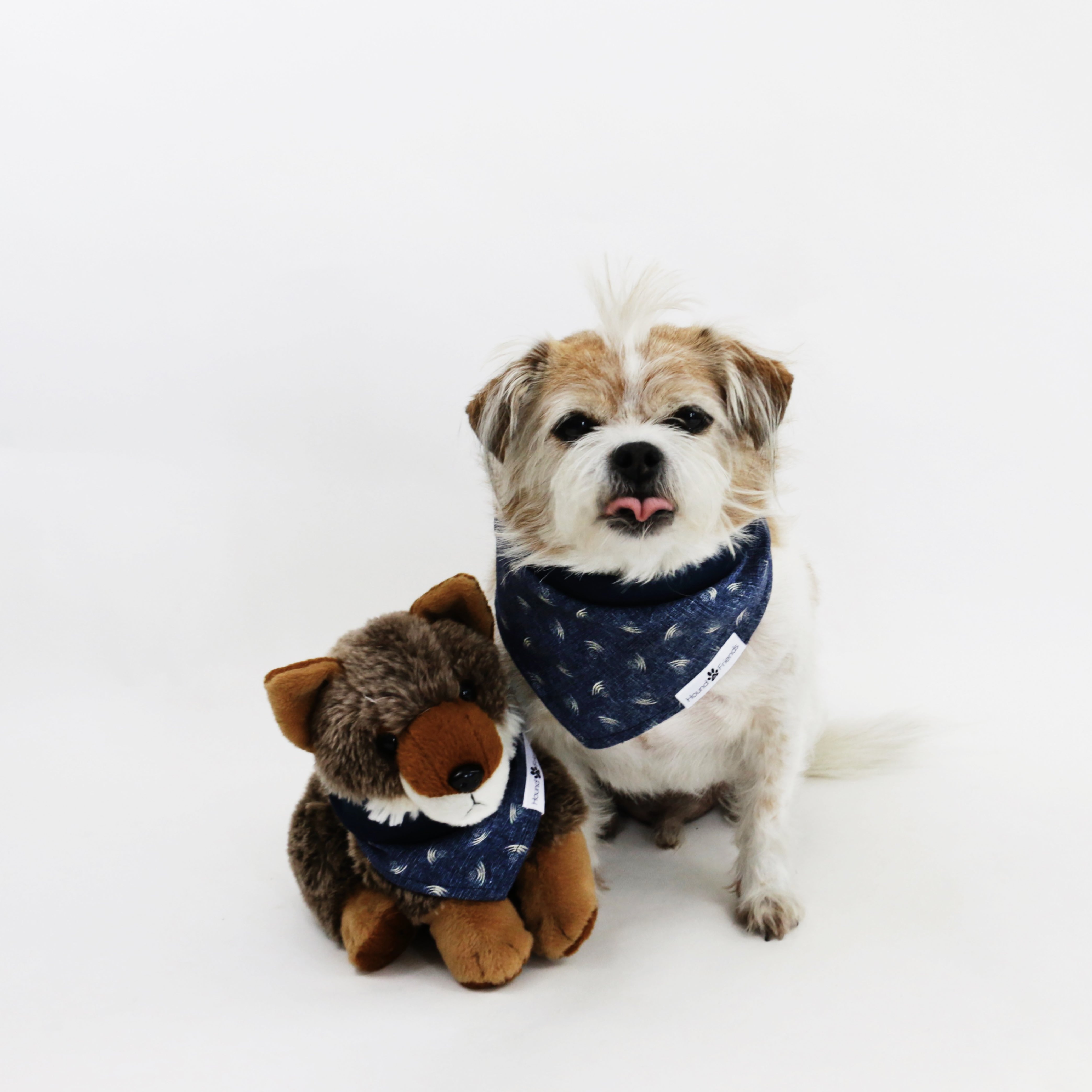 Mochi Chambray Denim Reversible Dog Bandana matching with owner | Hound and Friends