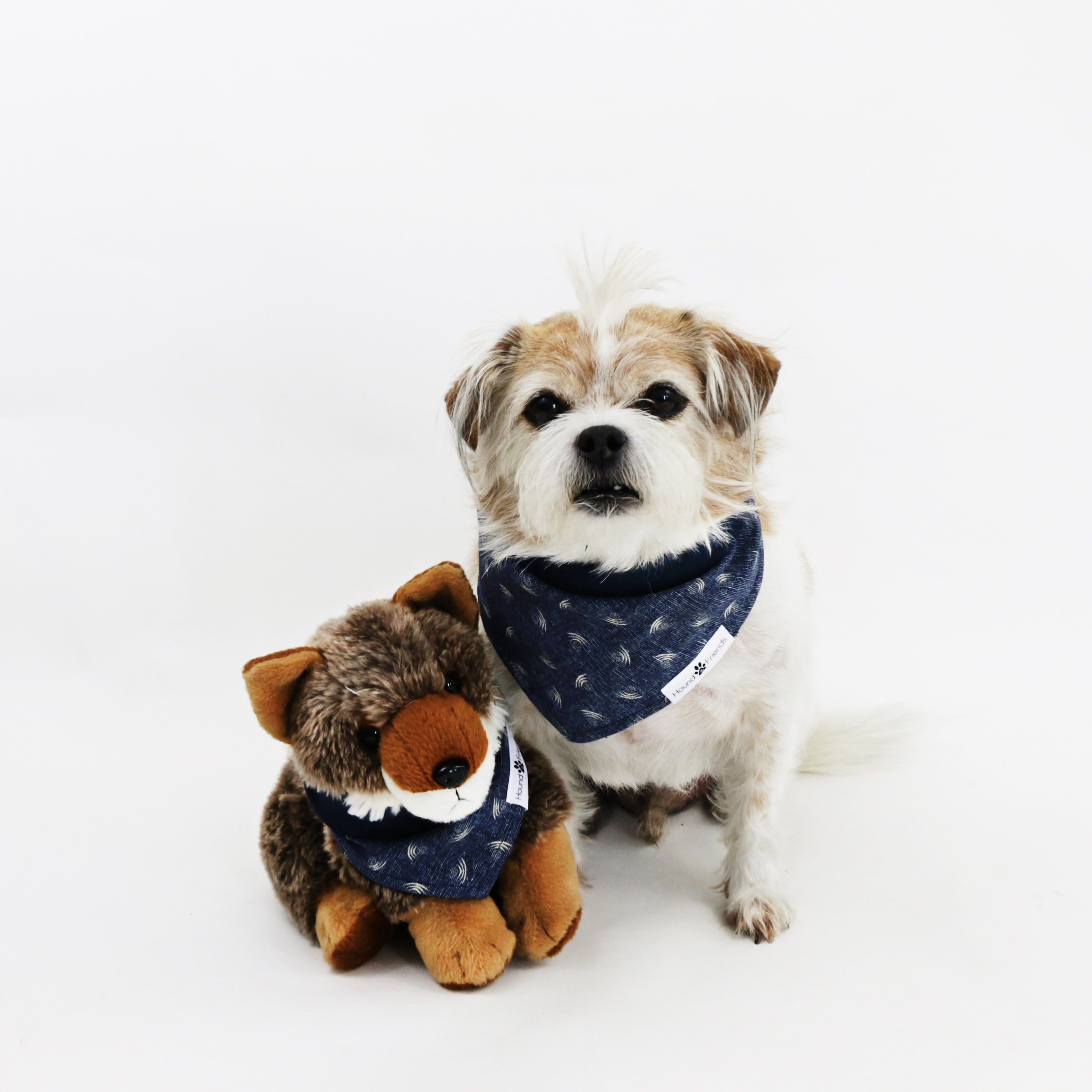 Mochi Chambray Denim Reversible Dog Bandana matching with owner | Hound and Friends