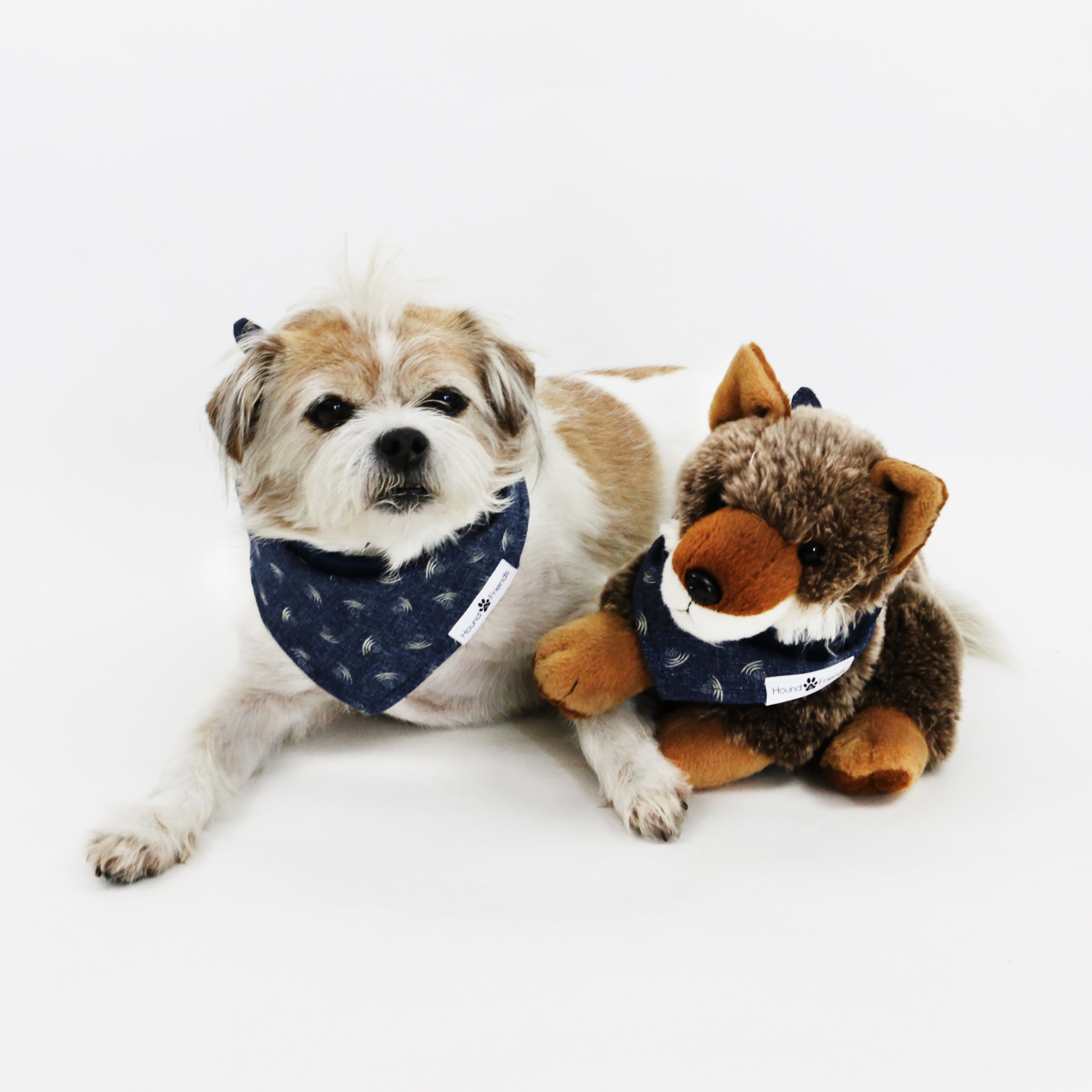 Mochi Chambray Denim Reversible Dog Bandana matching with owner | Hound and Friends