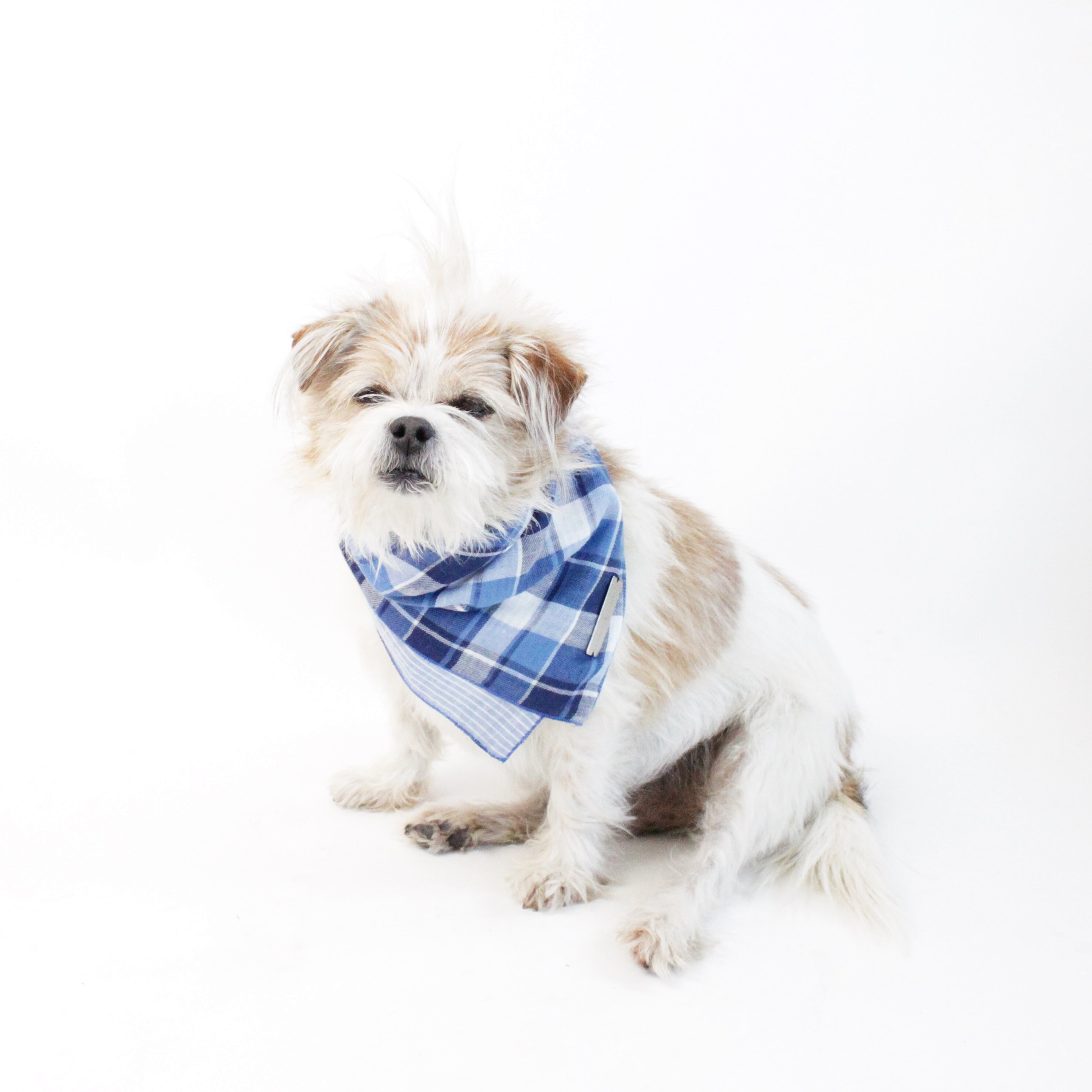 Riley Reversible Tie-on Blue Plaids Bandana for Matching Dog Bandanas and Accessories | Hound and Friends