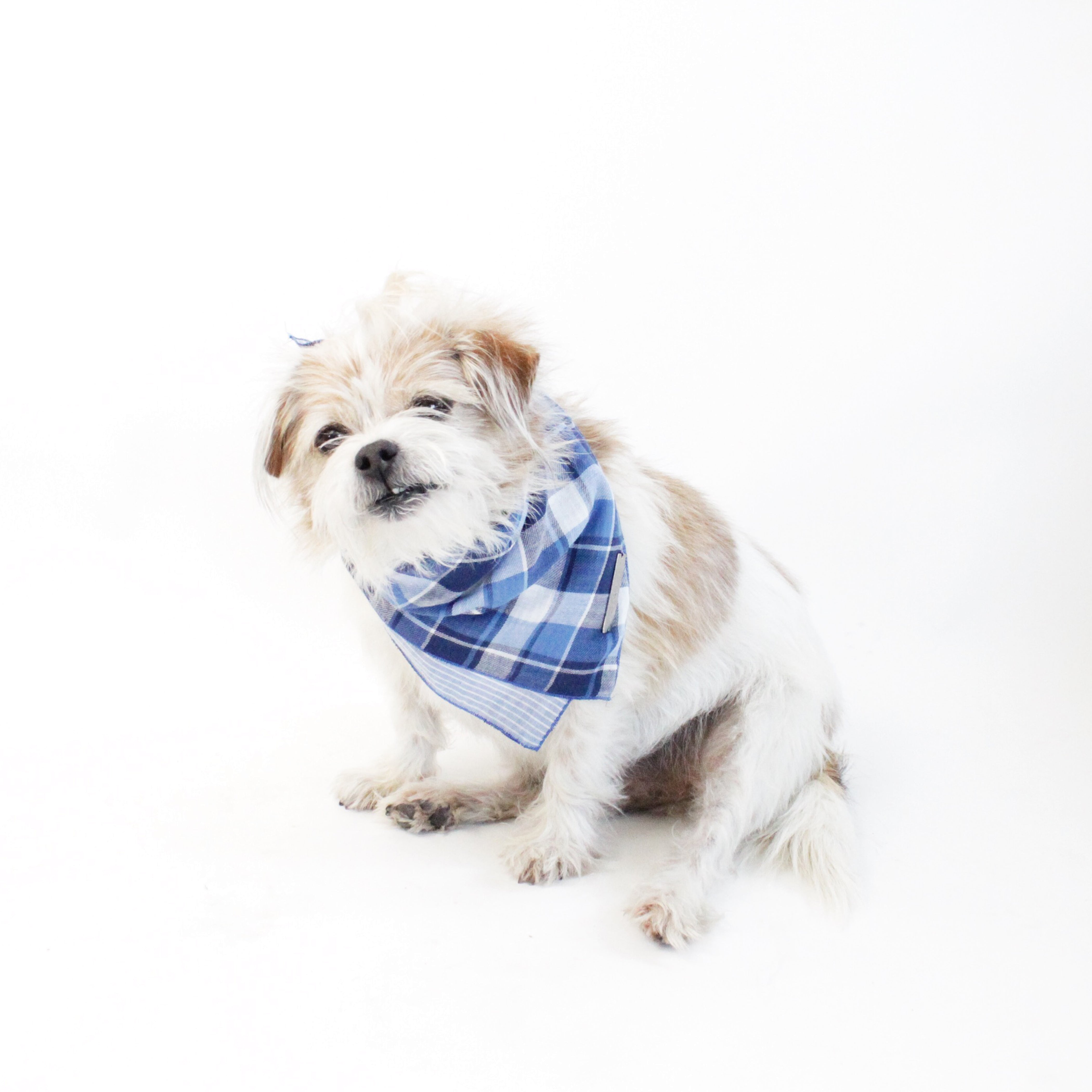 Riley Reversible Tie-on Blue Plaids Bandana for Matching Dog Bandanas and Accessories | Hound and Friends