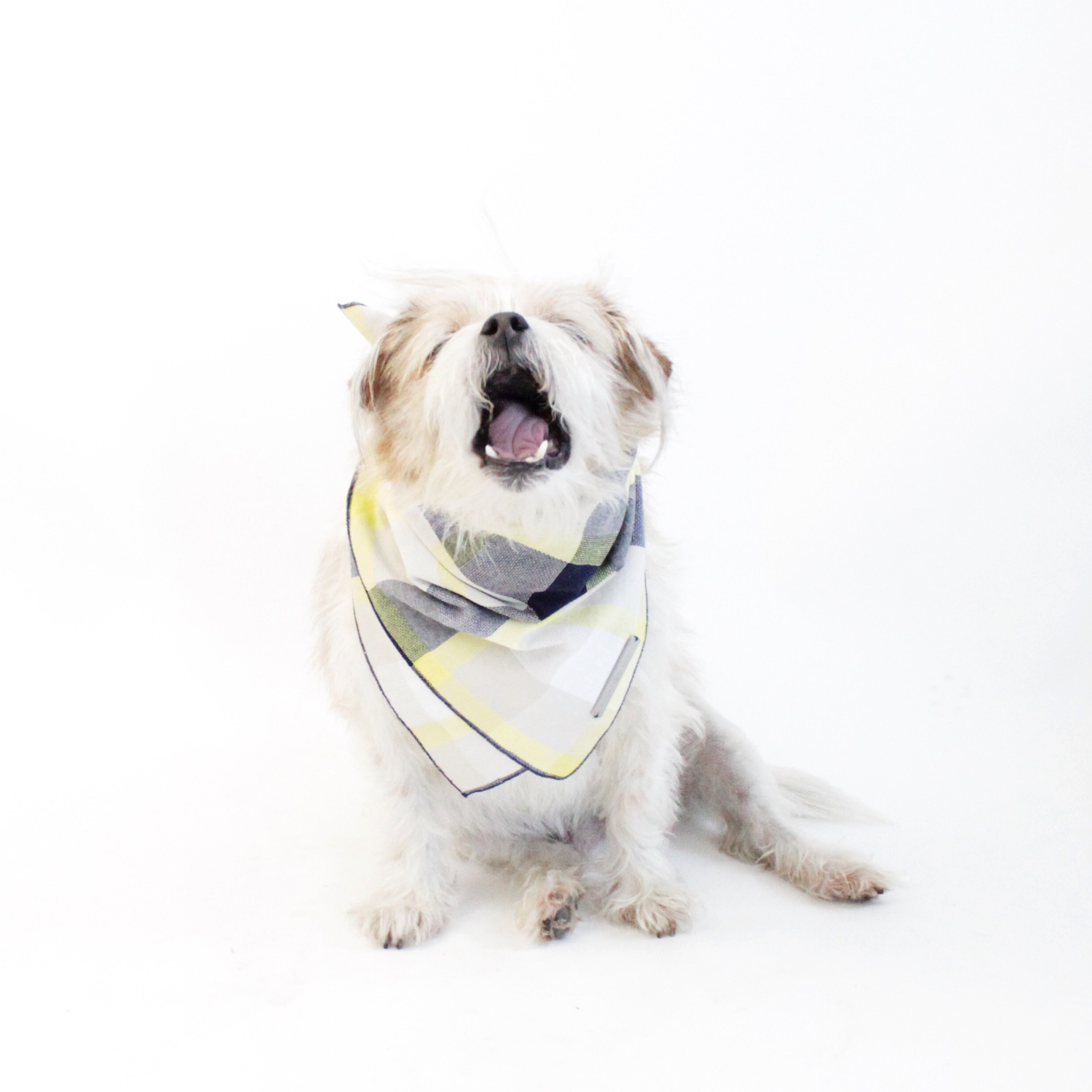 Ro Reversible Tie-on Blue and Yellow Plaids Bandana for Matching Dog Bandanas and Accessories | Hound and Friends