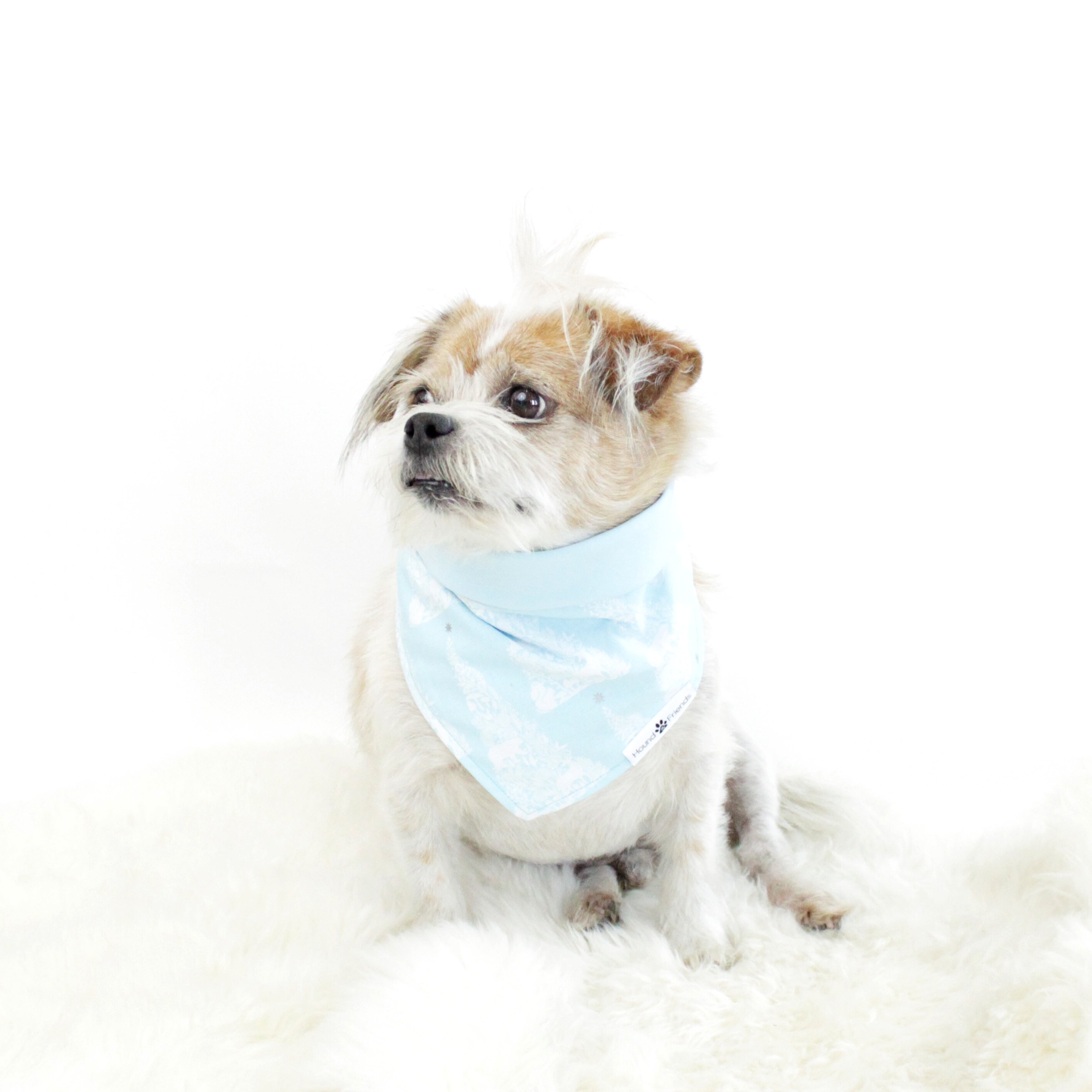 Robbin Reversible Tie On Dog Bandana | Hound and Friends