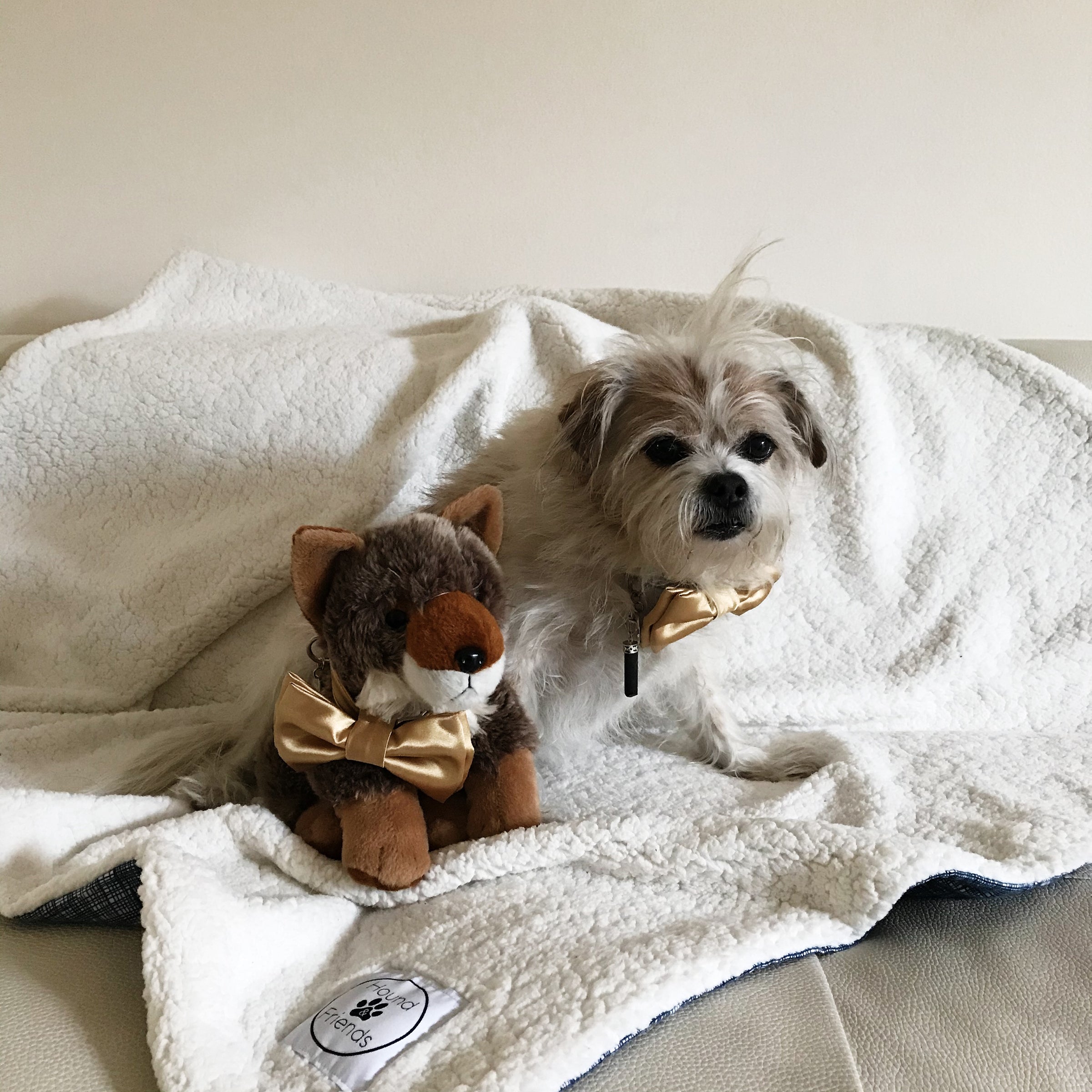 Luxury Sherpa Fur White Blankets for your pets and people from Hound and Friends