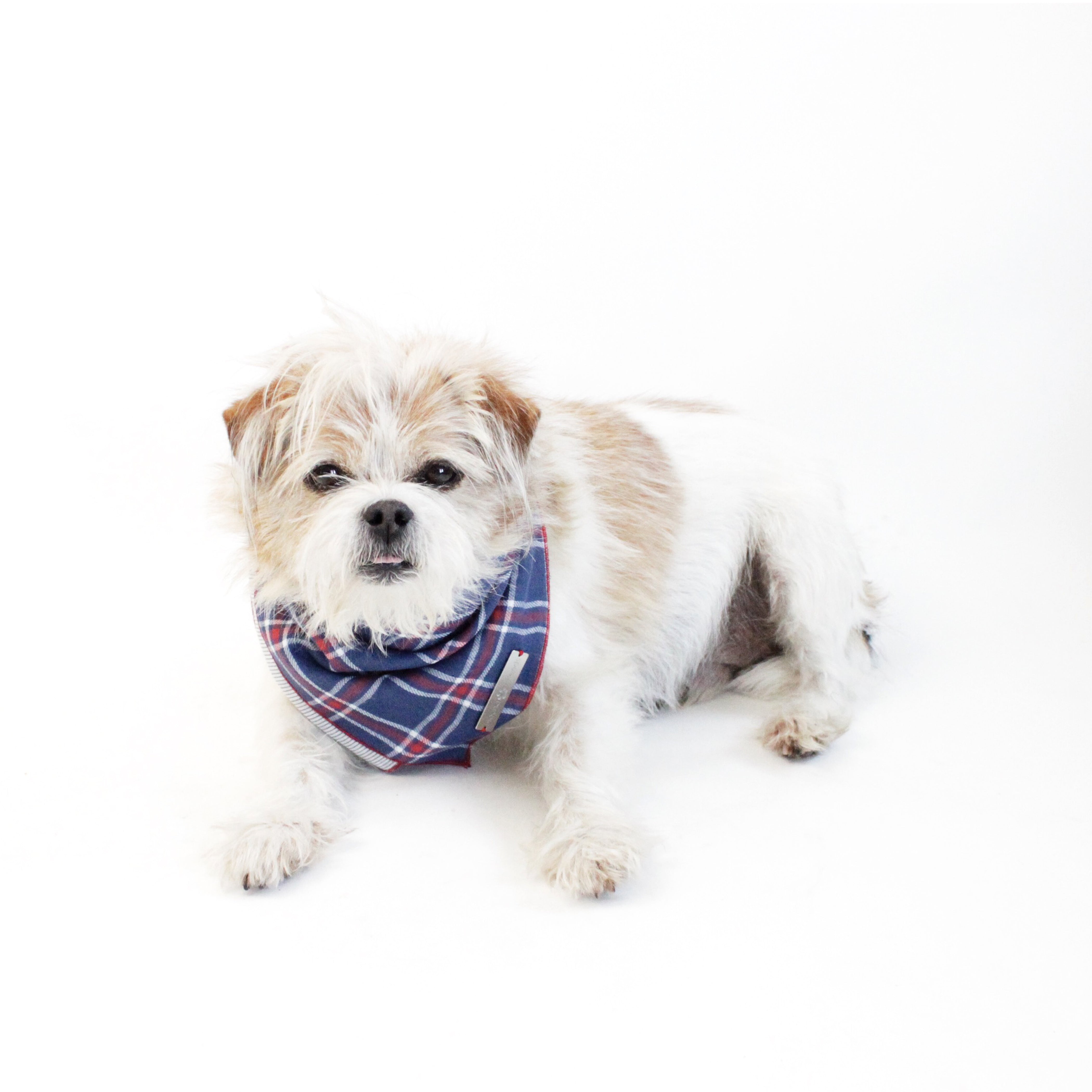 Stinger Reversible Dog Bandana matching with owners | Hound and Friends