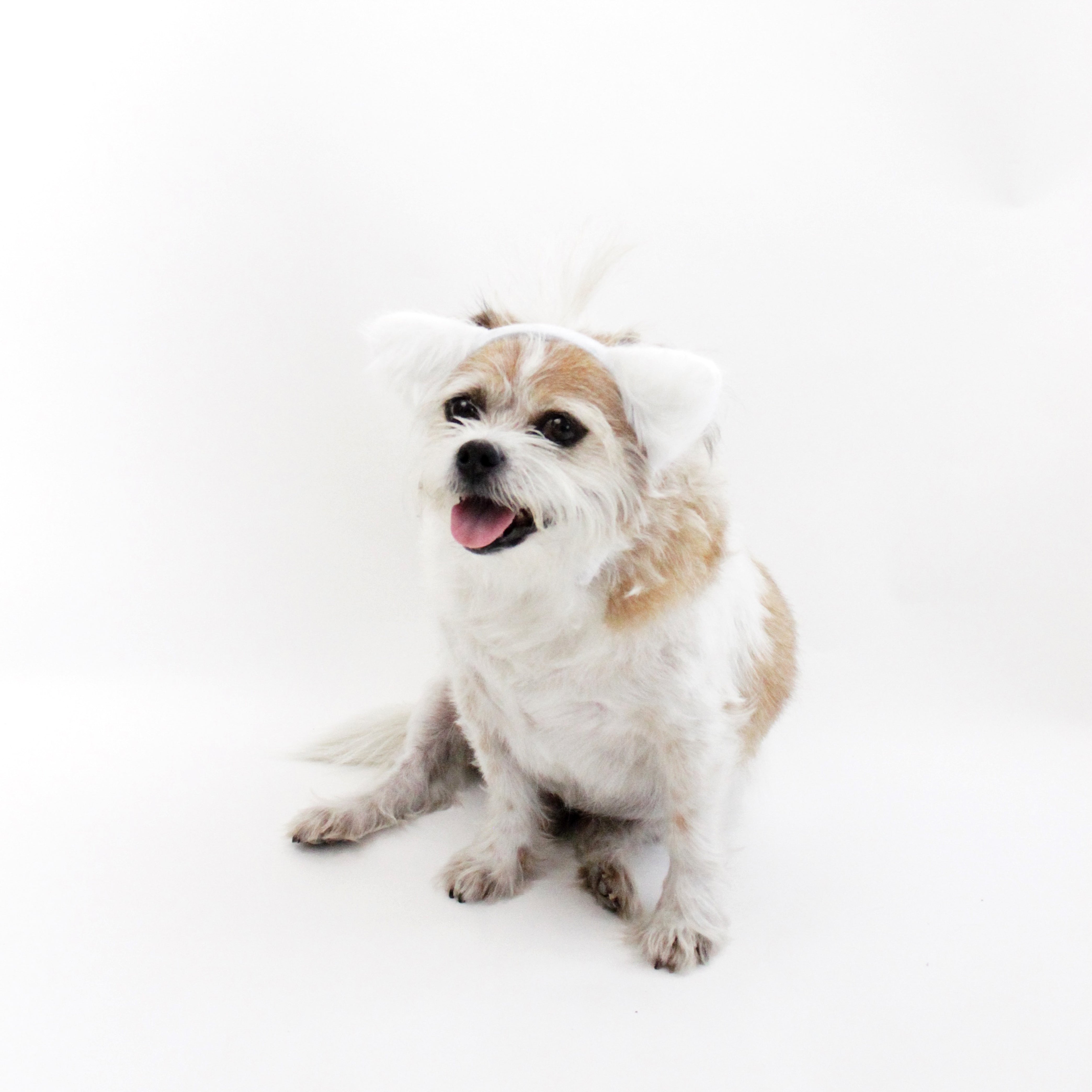 White Fuzzy Ears Headband